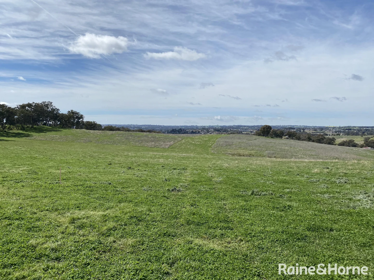 Additional image 9 of Lot 5, 6 & 8/at 59 & 60 Tiedemann Place, Young NSW 2594