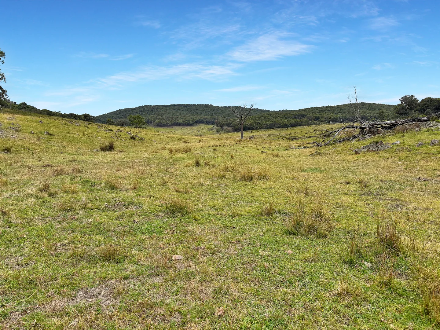 Additional image 8 of "Cummings Gap" Ullamalla road, Mudgee NSW 2850