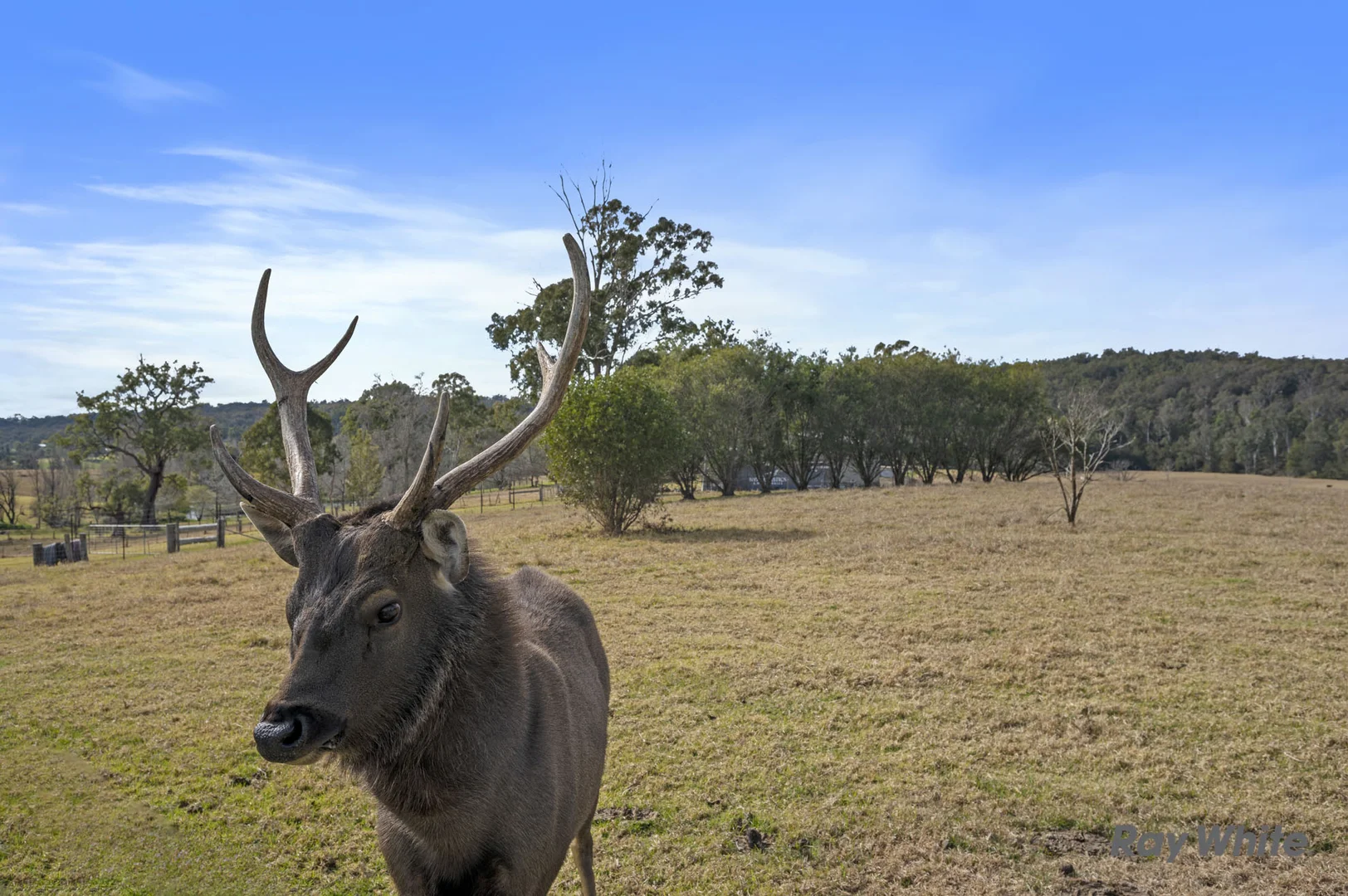 Additional image 34 of 235 Wamban Road, Moruya NSW 2537