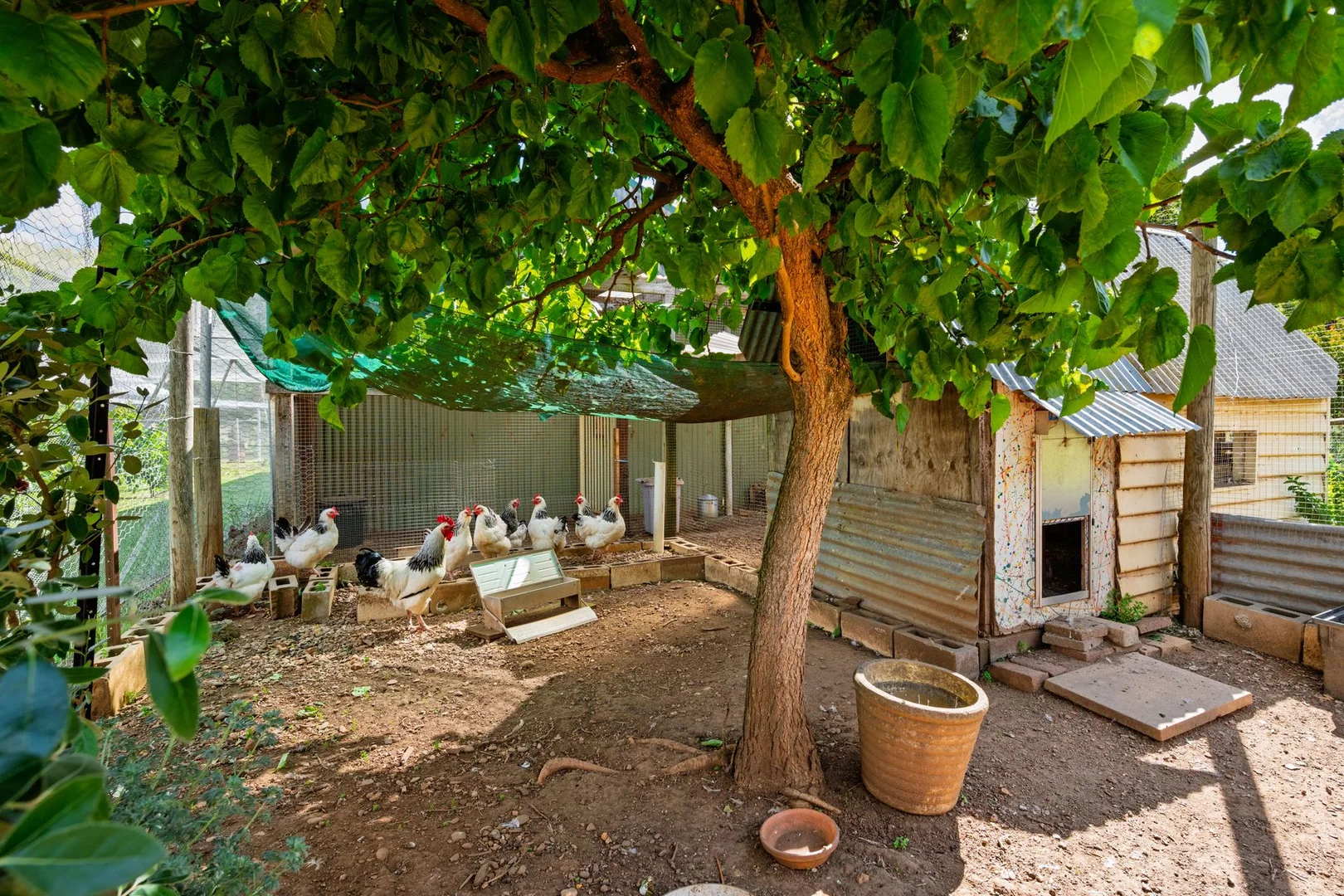 Additional image 33 of 5301 Great Alpine Road, Ovens VIC 3738