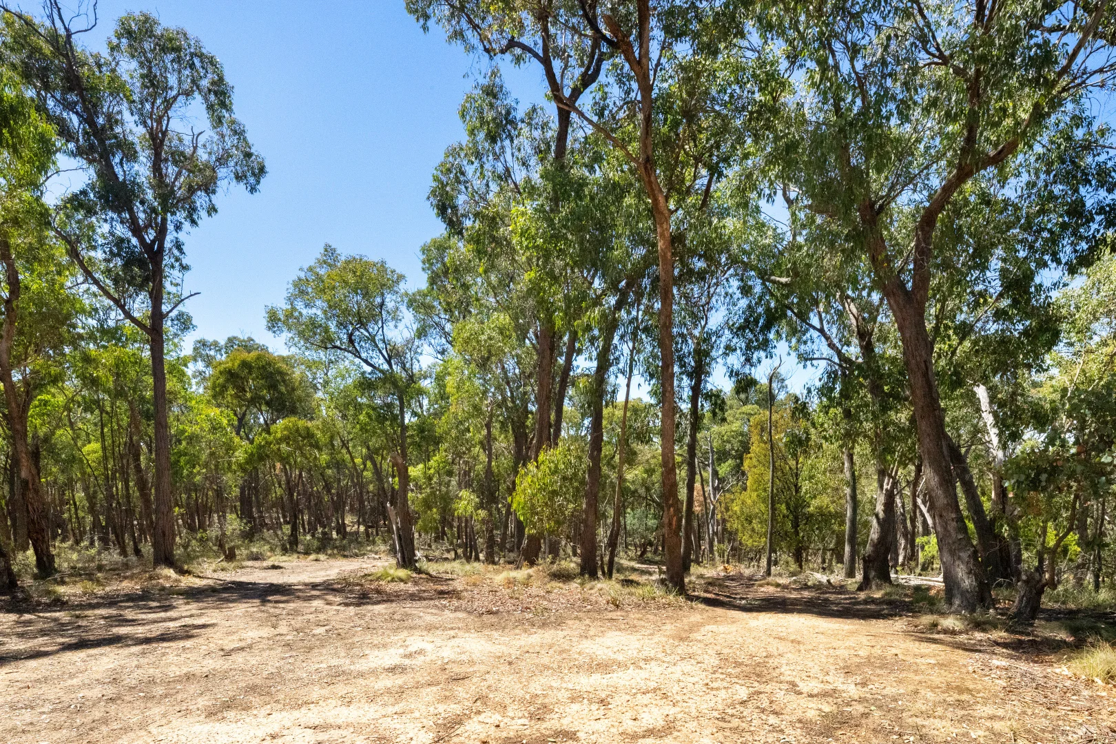 Additional image 9 of CA50 King Charlie Lane, Raglan VIC 3373