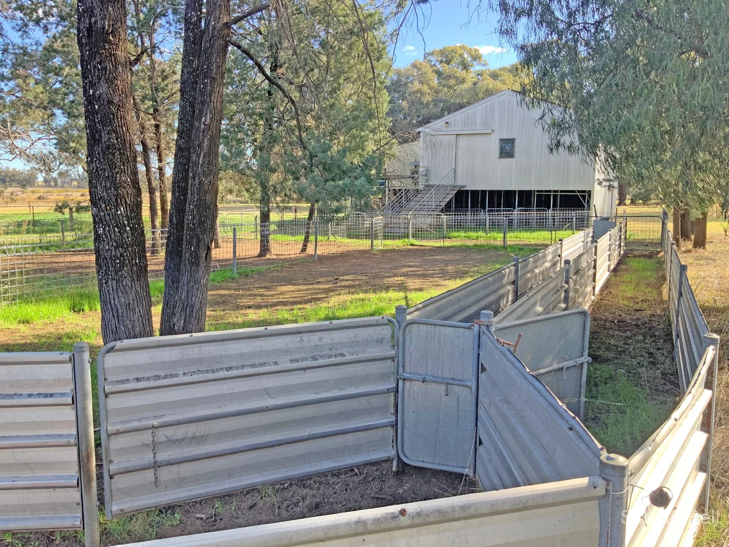 Additional image 11 of 71R Maiala Rd, Eumungerie NSW 2822