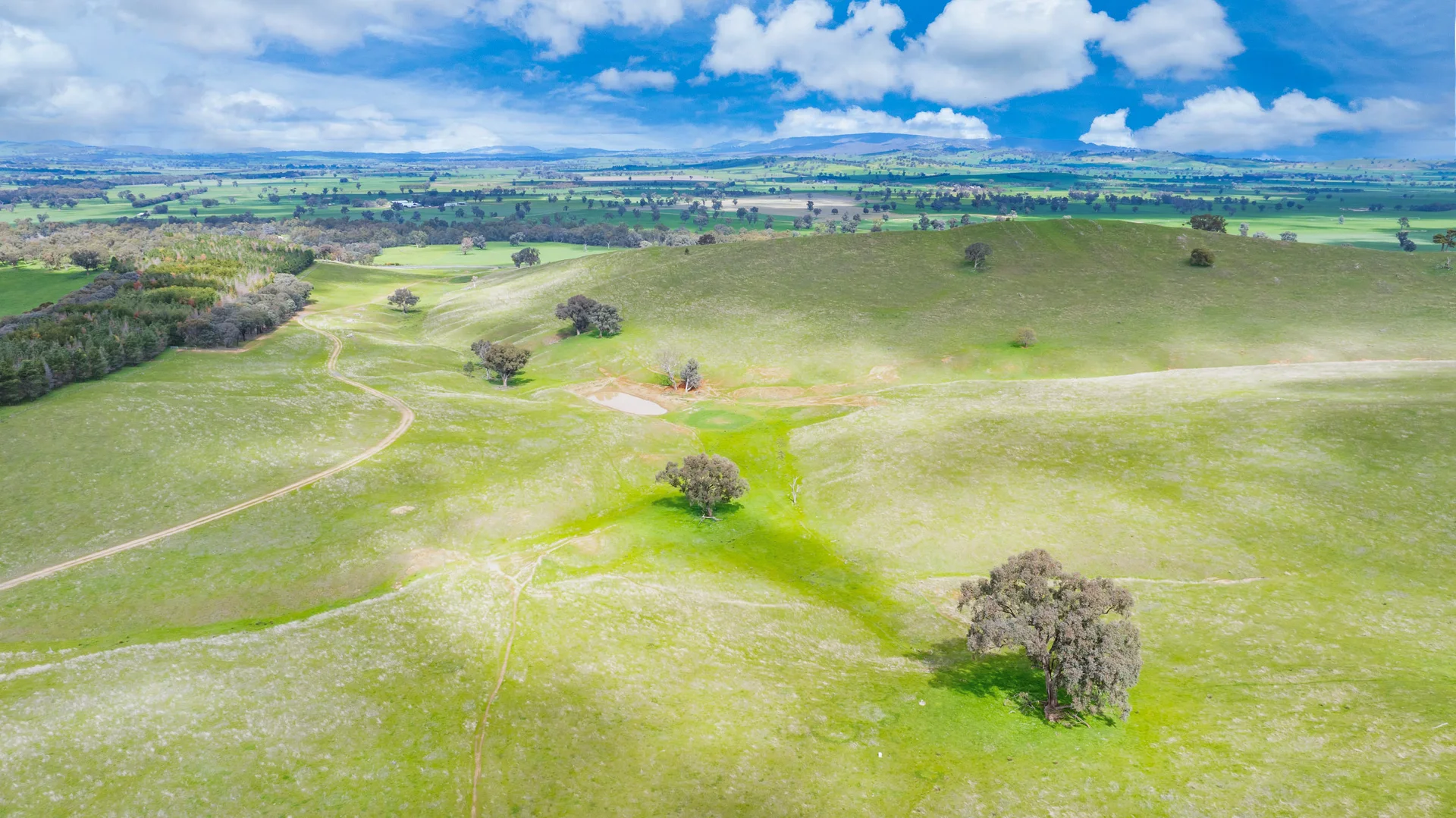 Additional image 12 of 1510 Culcairn Holbrook Road, Morven NSW 2660