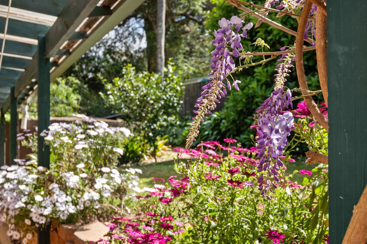 Additional image 3 of 16 Don Street, Kurrajong Heights NSW 2758