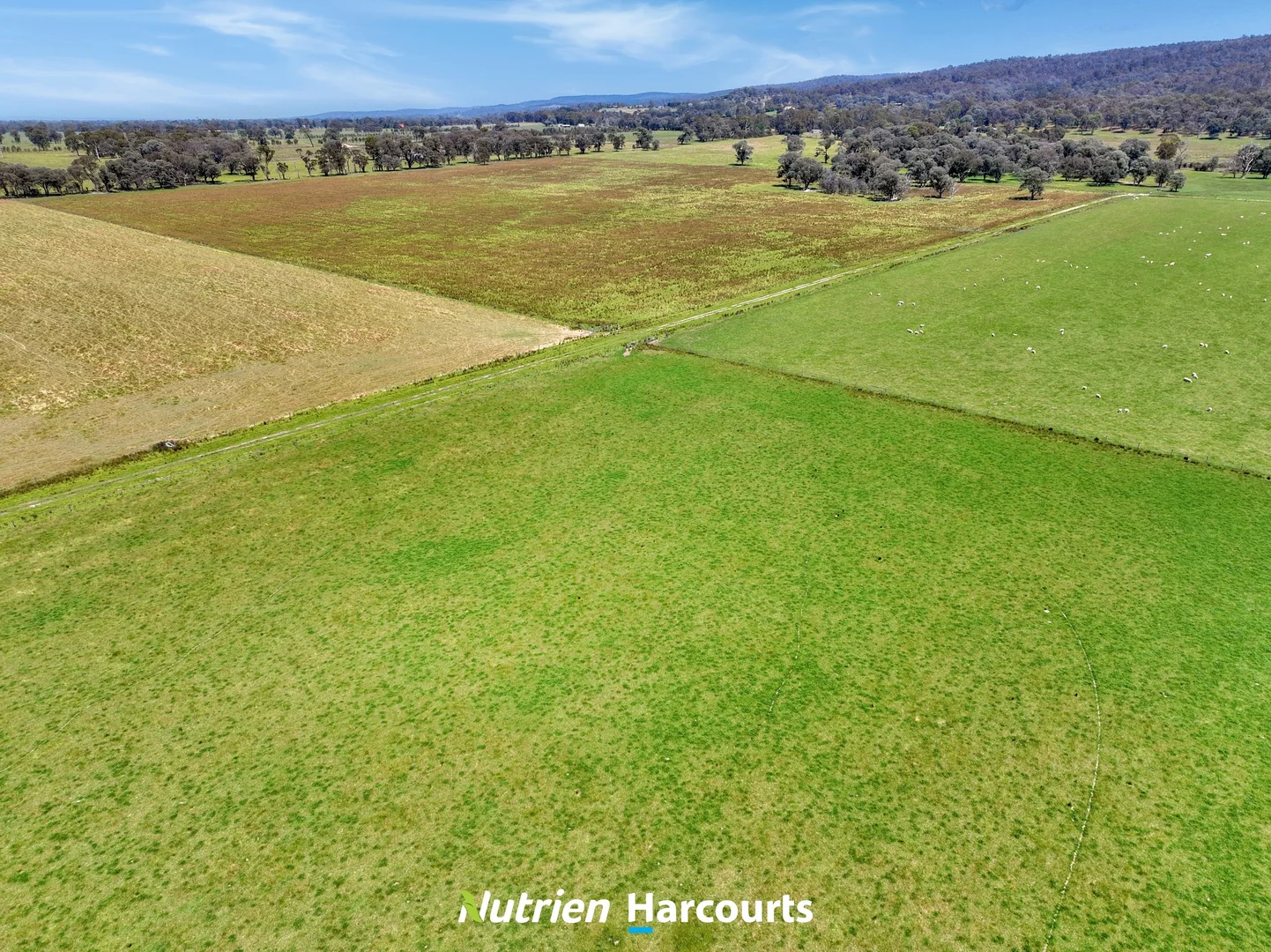 Additional image 19 of 480 Toongabbie-Cowwarr Road, Cowwarr VIC 3857