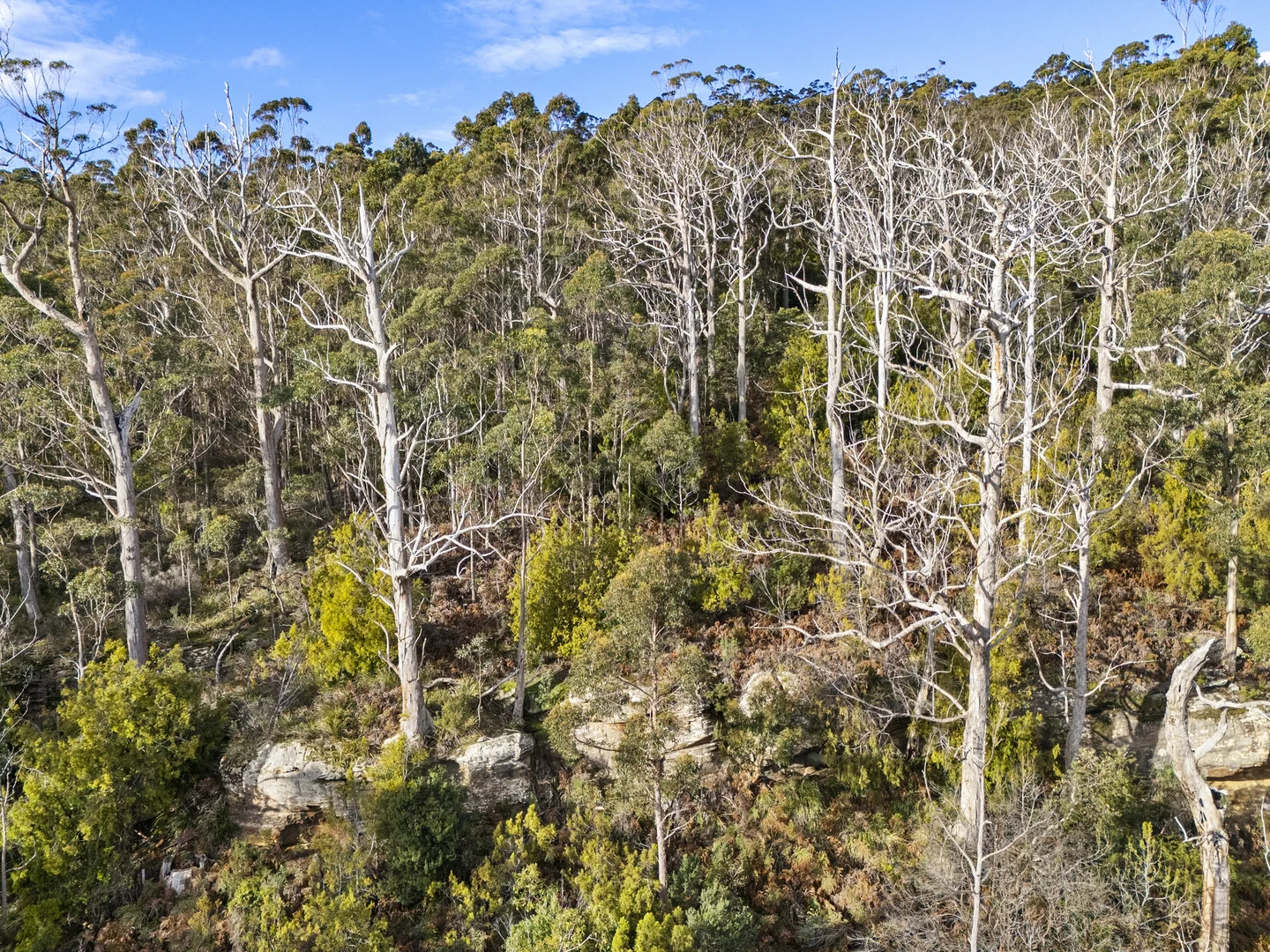 Additional image 27 of Lot 4 Tip Road, Nubeena TAS 7184