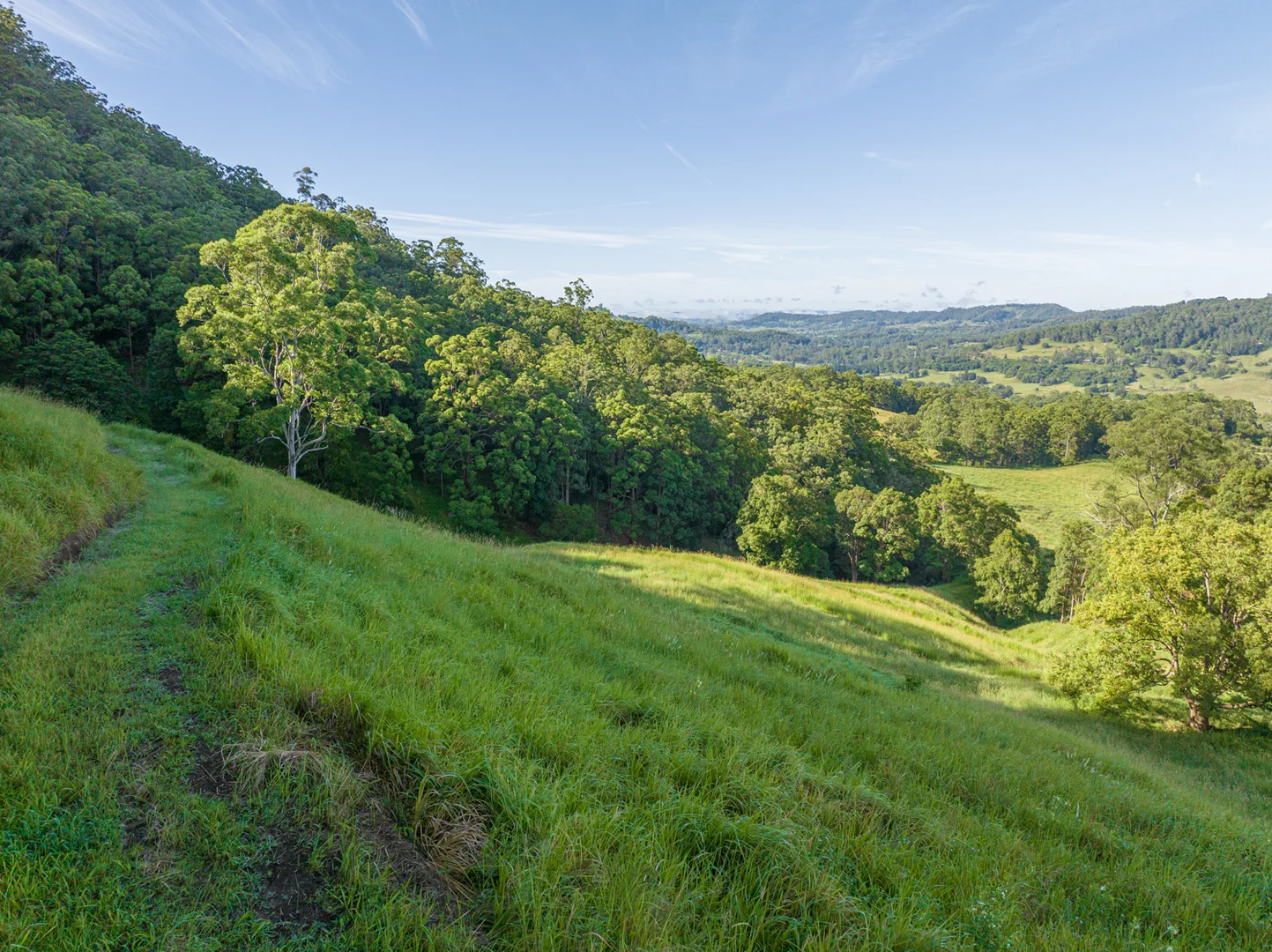 Additional image 29 of 2298 Nimbin Road, Nimbin NSW 2480