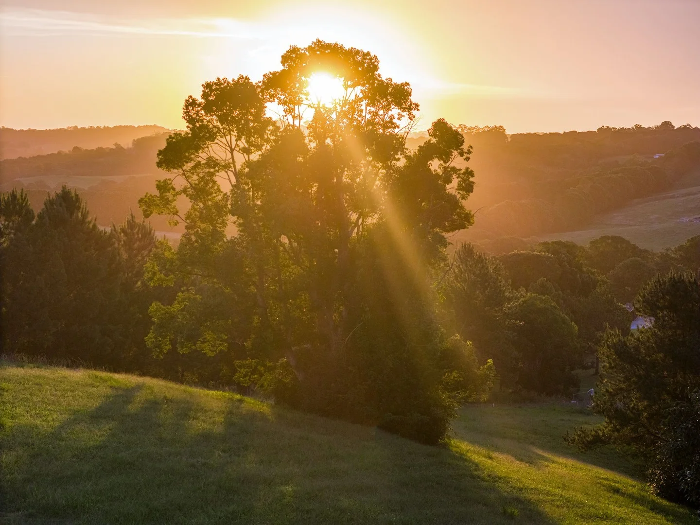 Additional image 2 of 111 Fowlers Lane, Bangalow NSW 2479