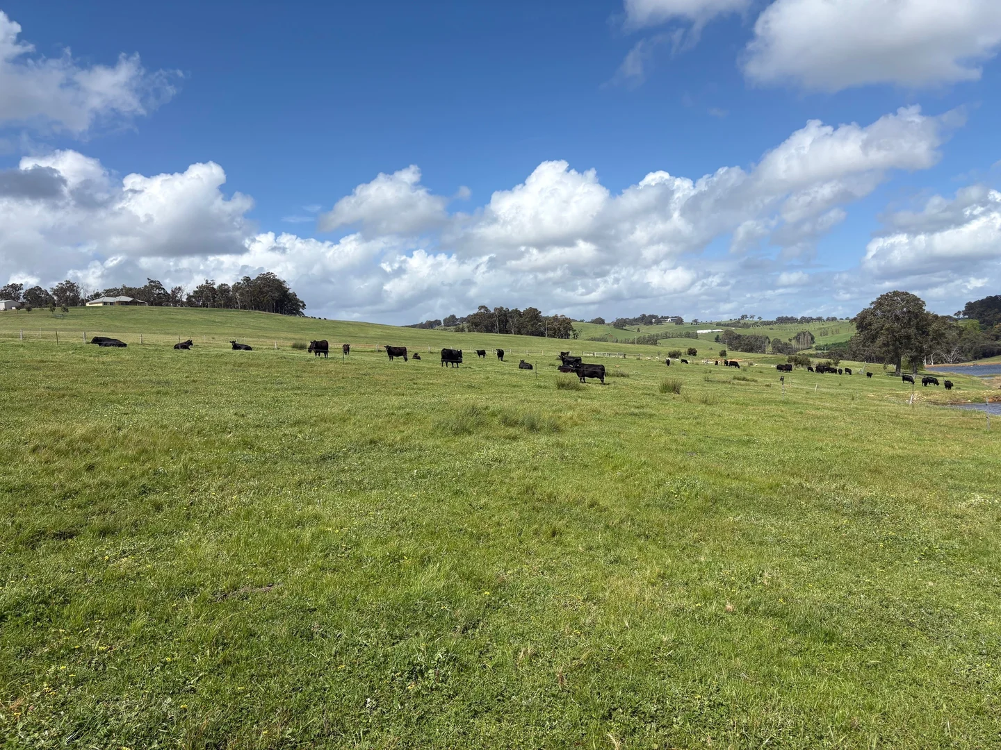 Additional image 3 of Lot 72 Beelerup Road, Beelerup WA 6239