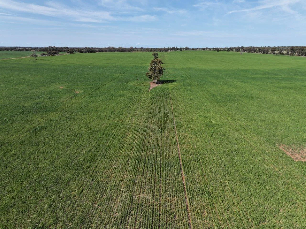 Additional image 9 of 'Dundee', 122 Winters Lane, West Wyalong NSW 2671