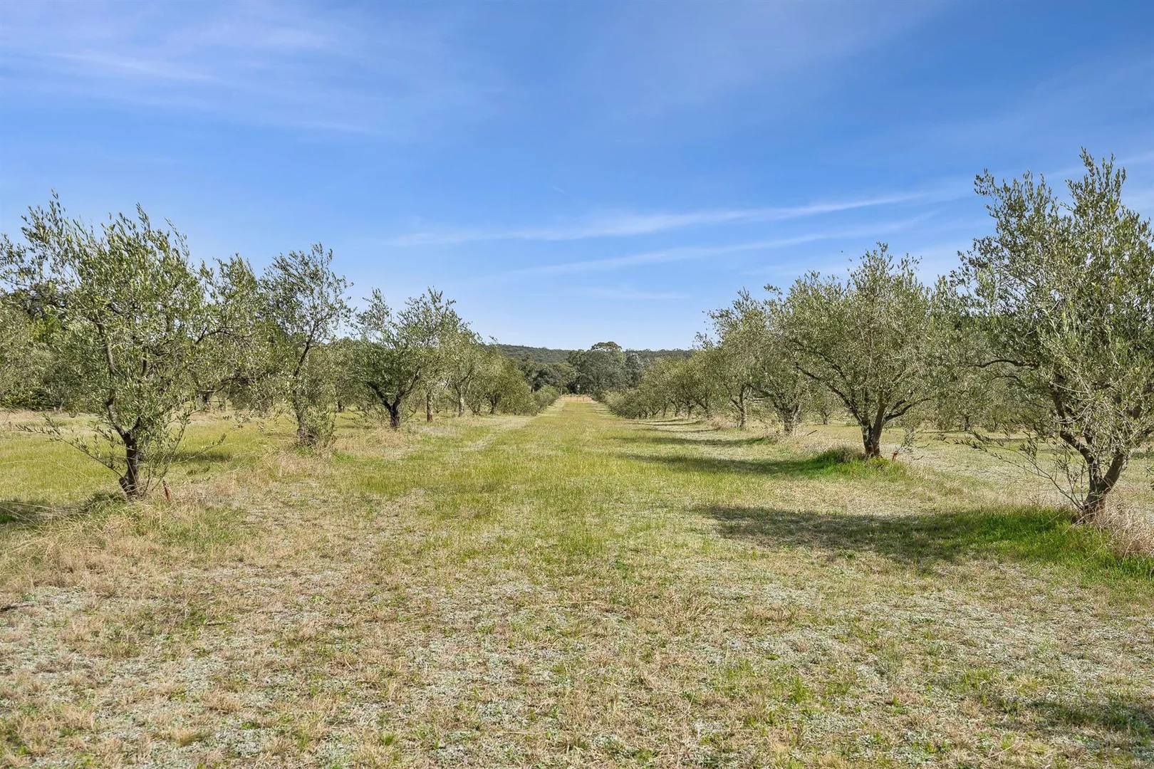 Additional image 16 of 44 Mills Road, Towrang NSW 2580