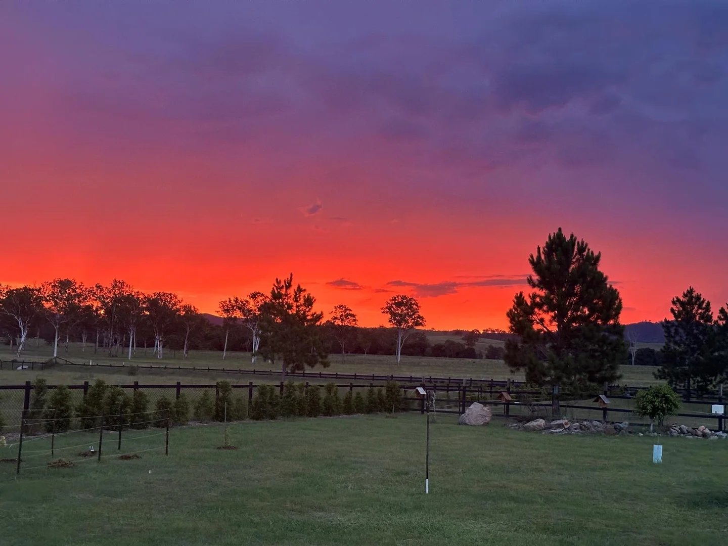 Additional image 42 of 10 Caballo Way, Winya QLD 4515