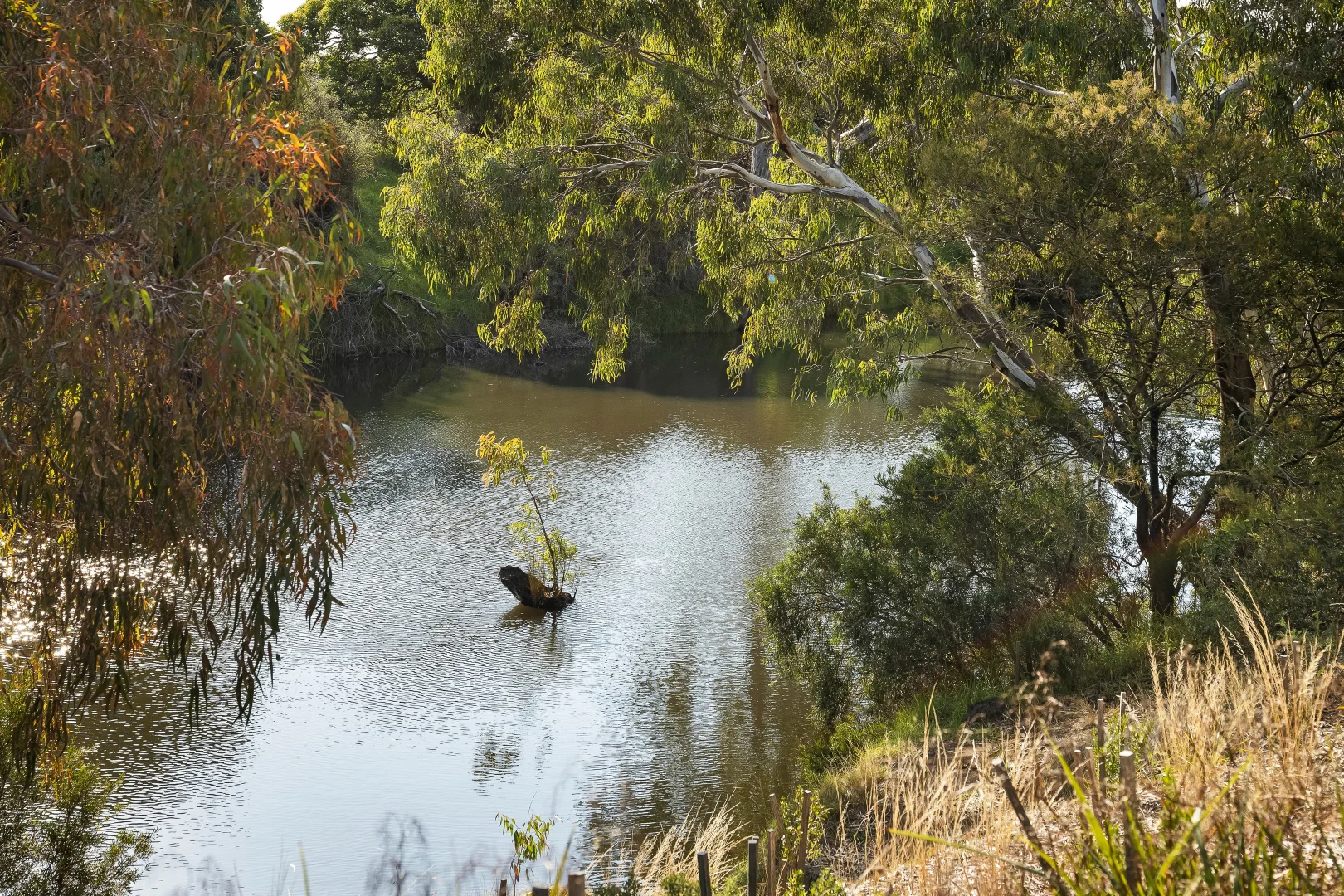 Additional image 34 of 9 MacLean Court, Tarneit VIC 3029