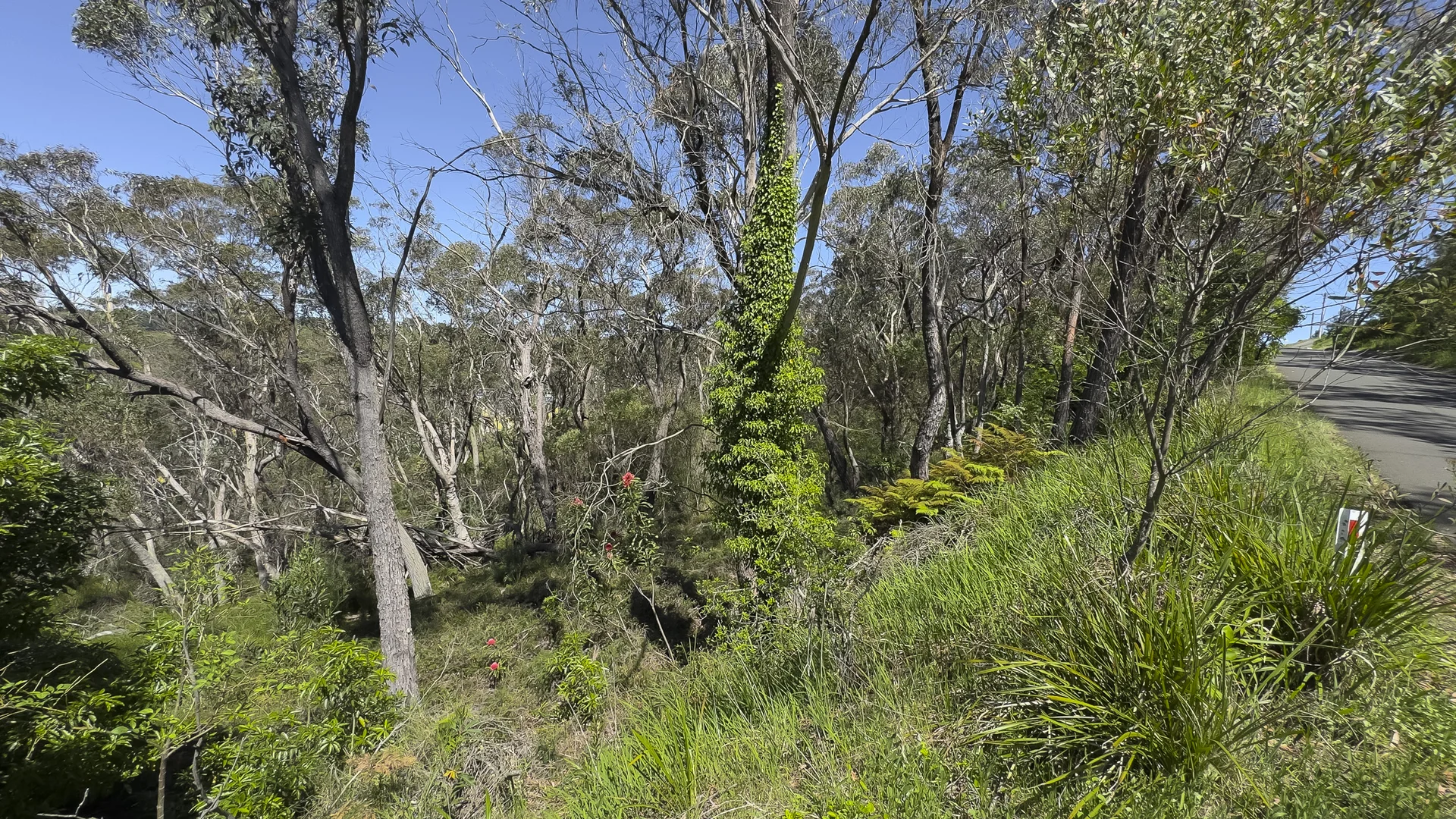 Additional image 4 of 67 Bate Street, Wentworth Falls NSW 2782