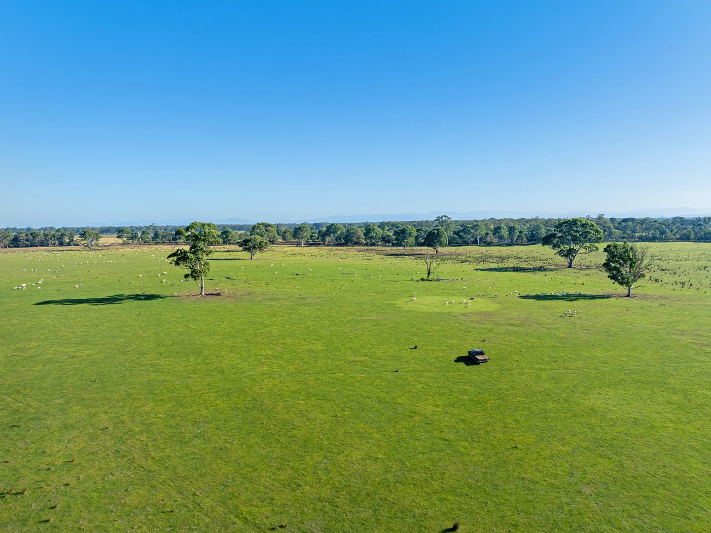 Additional image 14 of 86 Munro-Stockdale Road, Munro VIC 3862