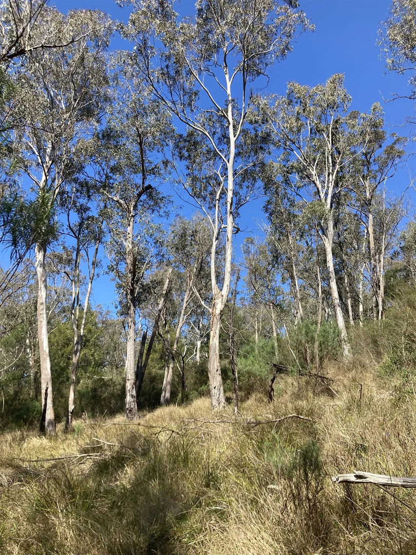 Additional image 19 of 138 Elliot Road, Valencia Creek VIC 3860