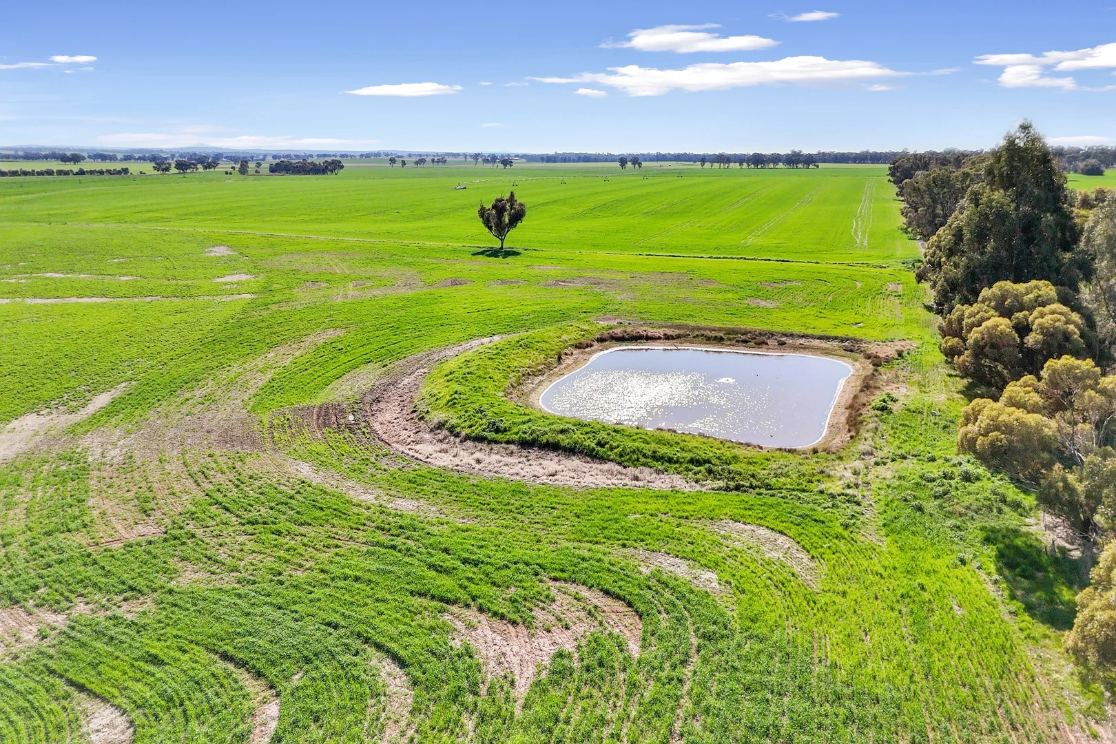 Additional image 10 of 1113 Baringhup-Eddington Road, Baringhup VIC 3463