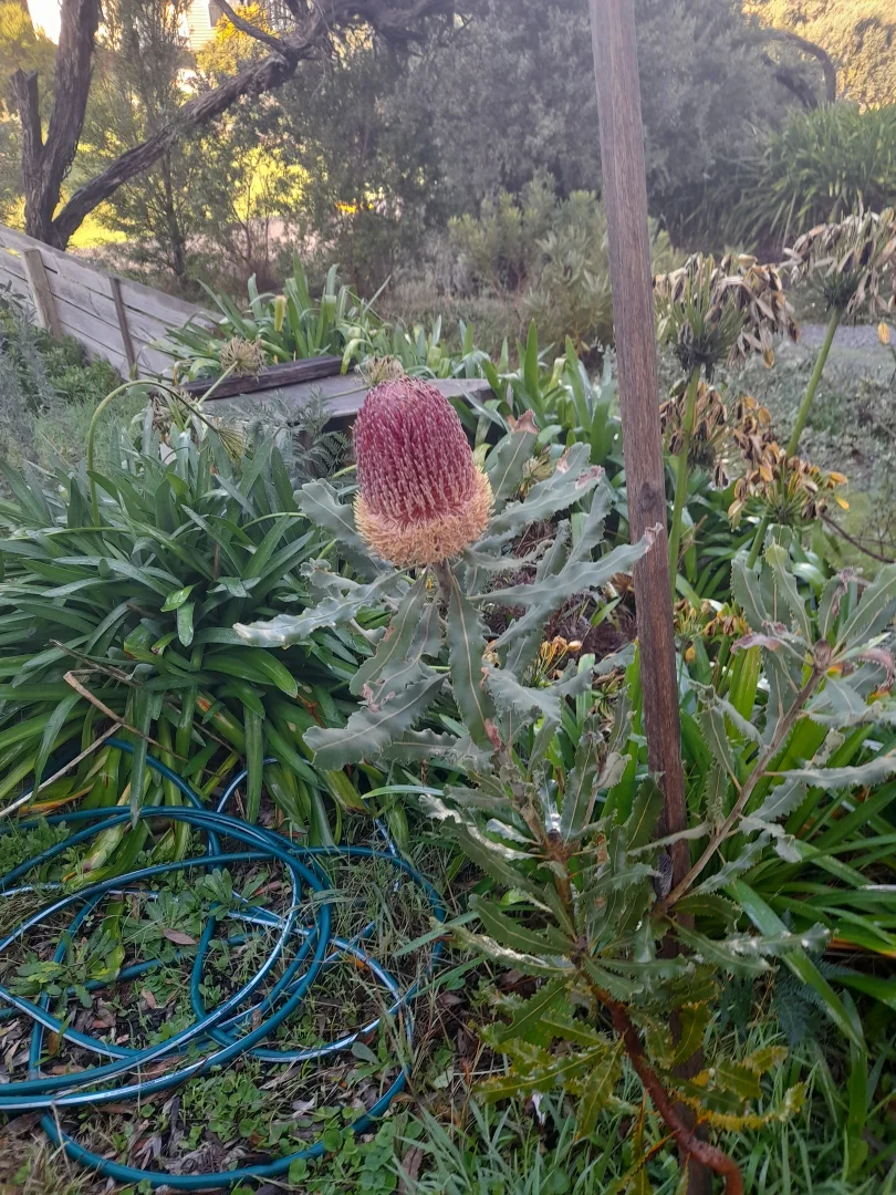 Additional image 21 of 49 Louis Road, Venus Bay VIC 3956