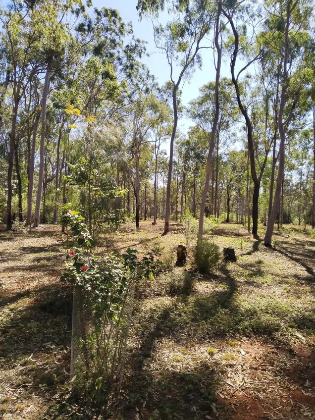 Additional image 14 of 89 Corfield drive, Booyal QLD 4671