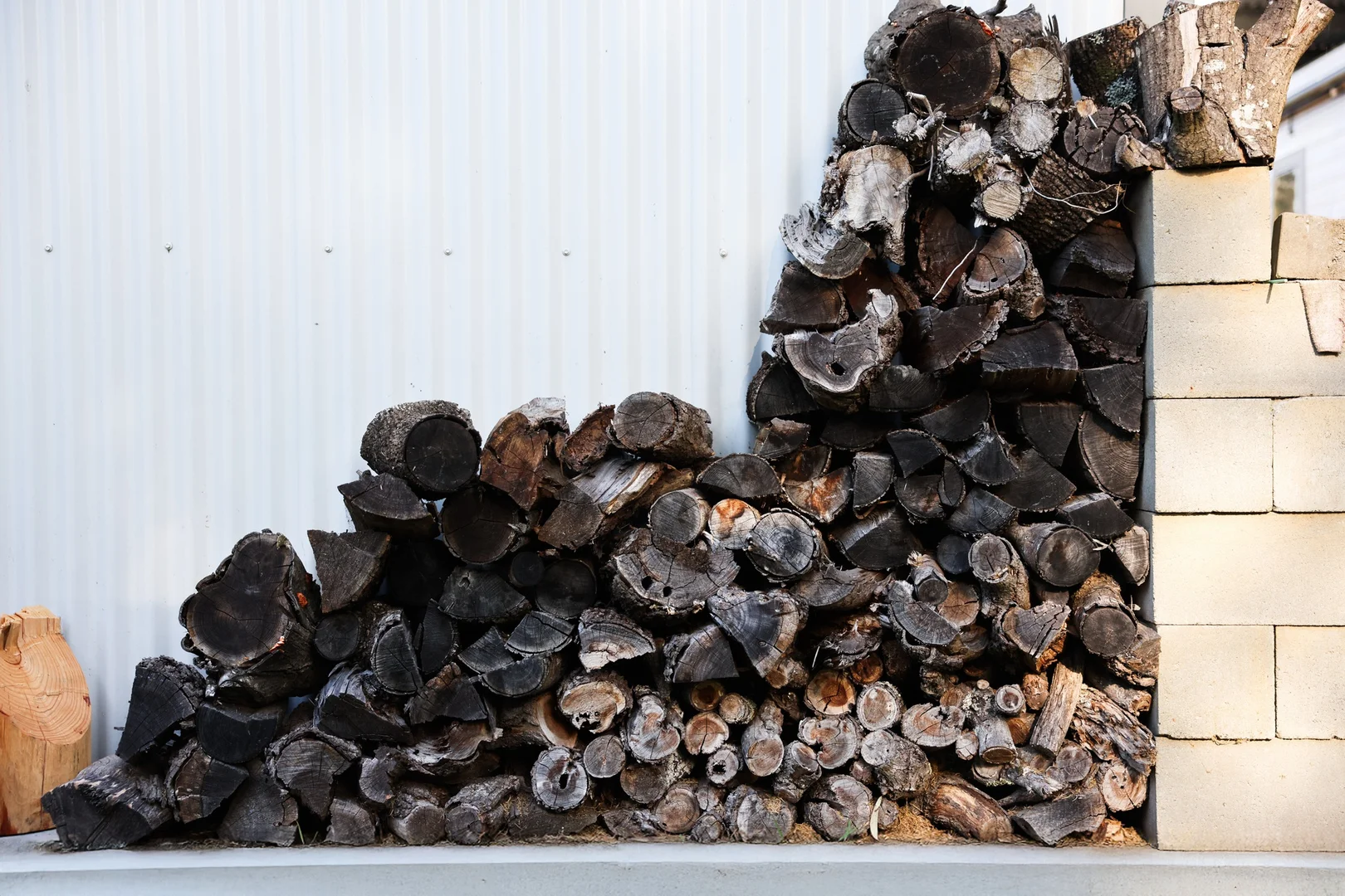 Additional image 26 of 8 Railway Terrace, Willow Vale NSW 2575