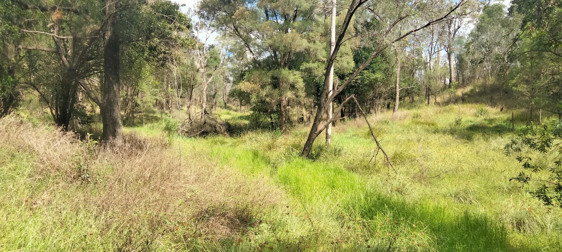 Additional image 21 of 3359 Lowmead Road, Lowmead QLD 4676