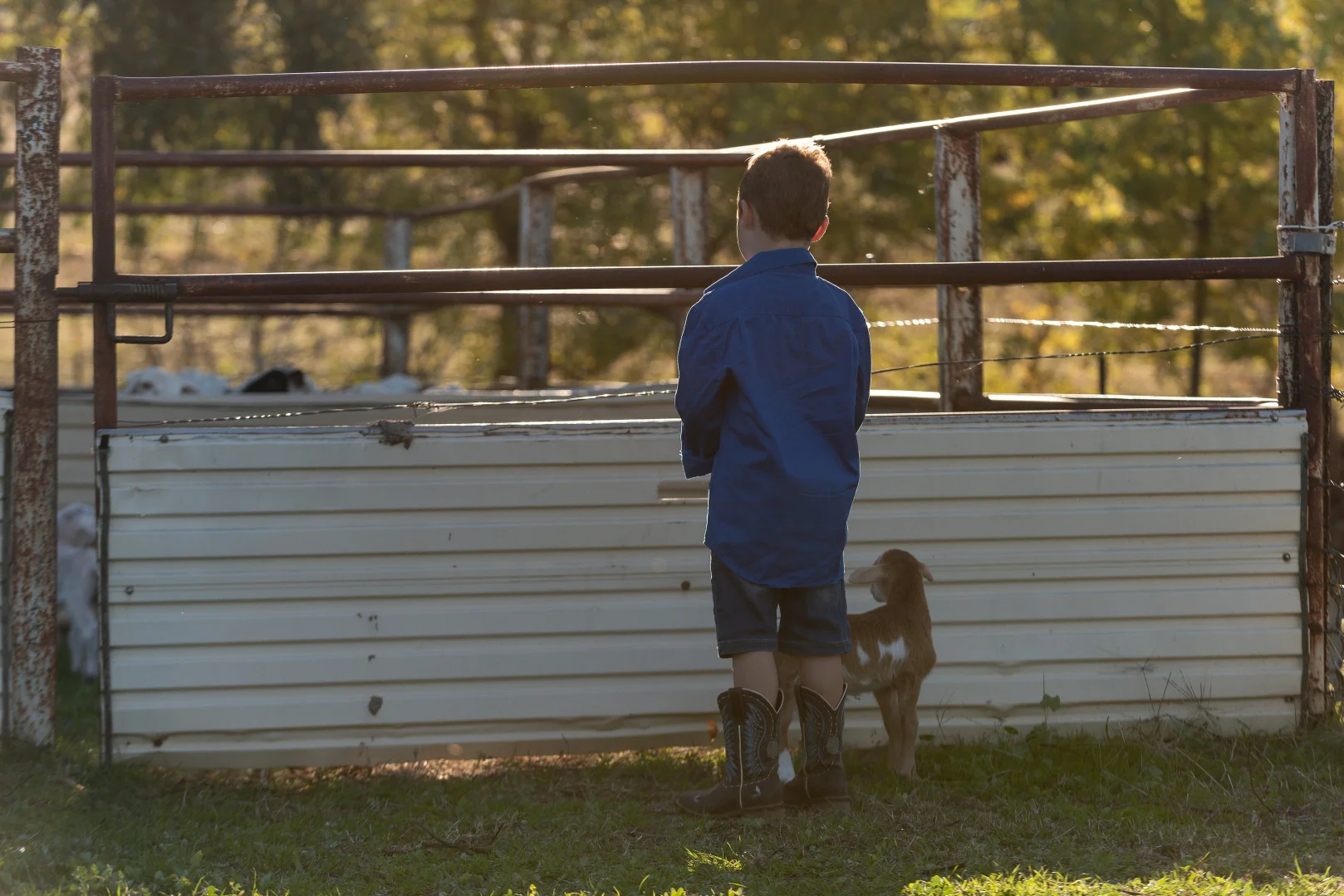 Additional image 2 of Lot 11 Wynyard Hill, Springvale NSW 2650