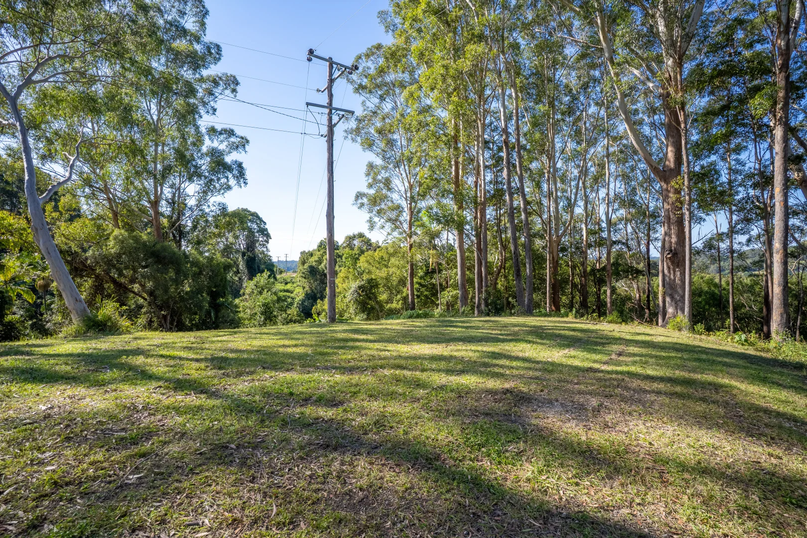 Additional image 7 of 76 Maso Road, Repentance Creek NSW 2480