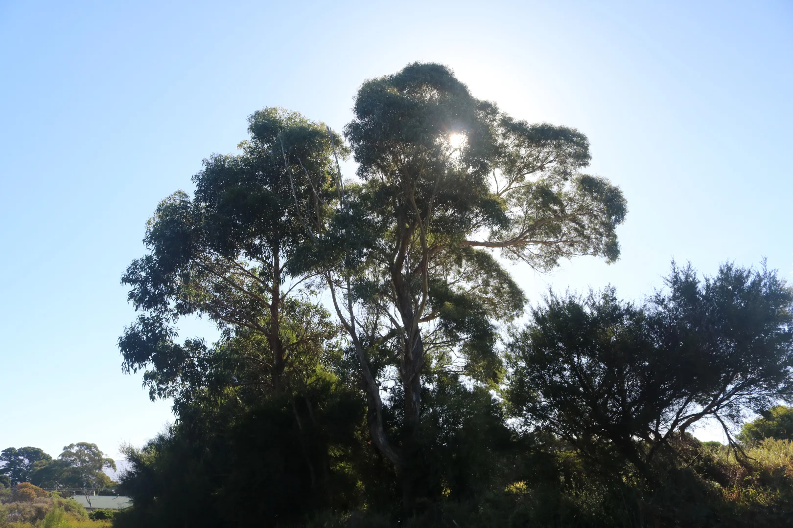 Additional image 3 of 4 Barr Street, Lady Barron TAS 7255