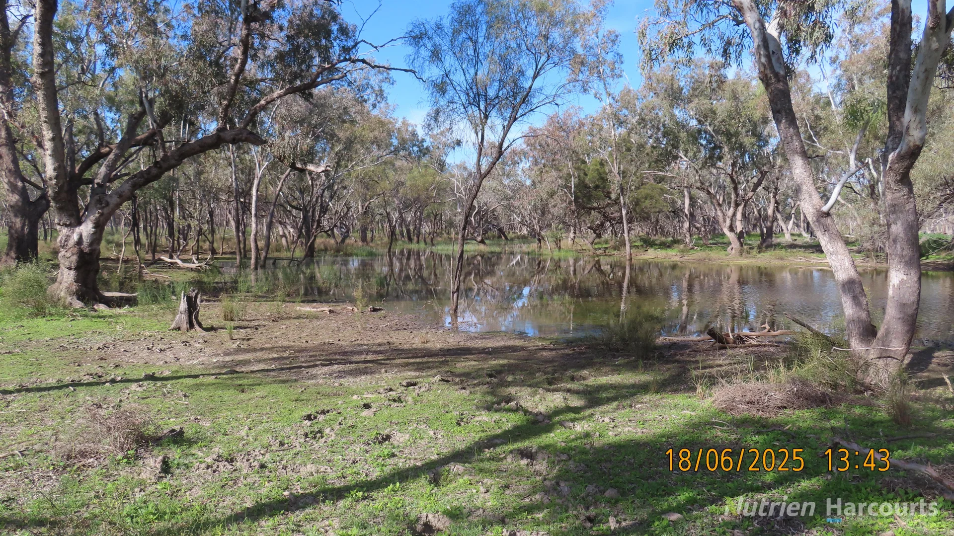 Additional image 22 of * Springvale, Walgett NSW 2832