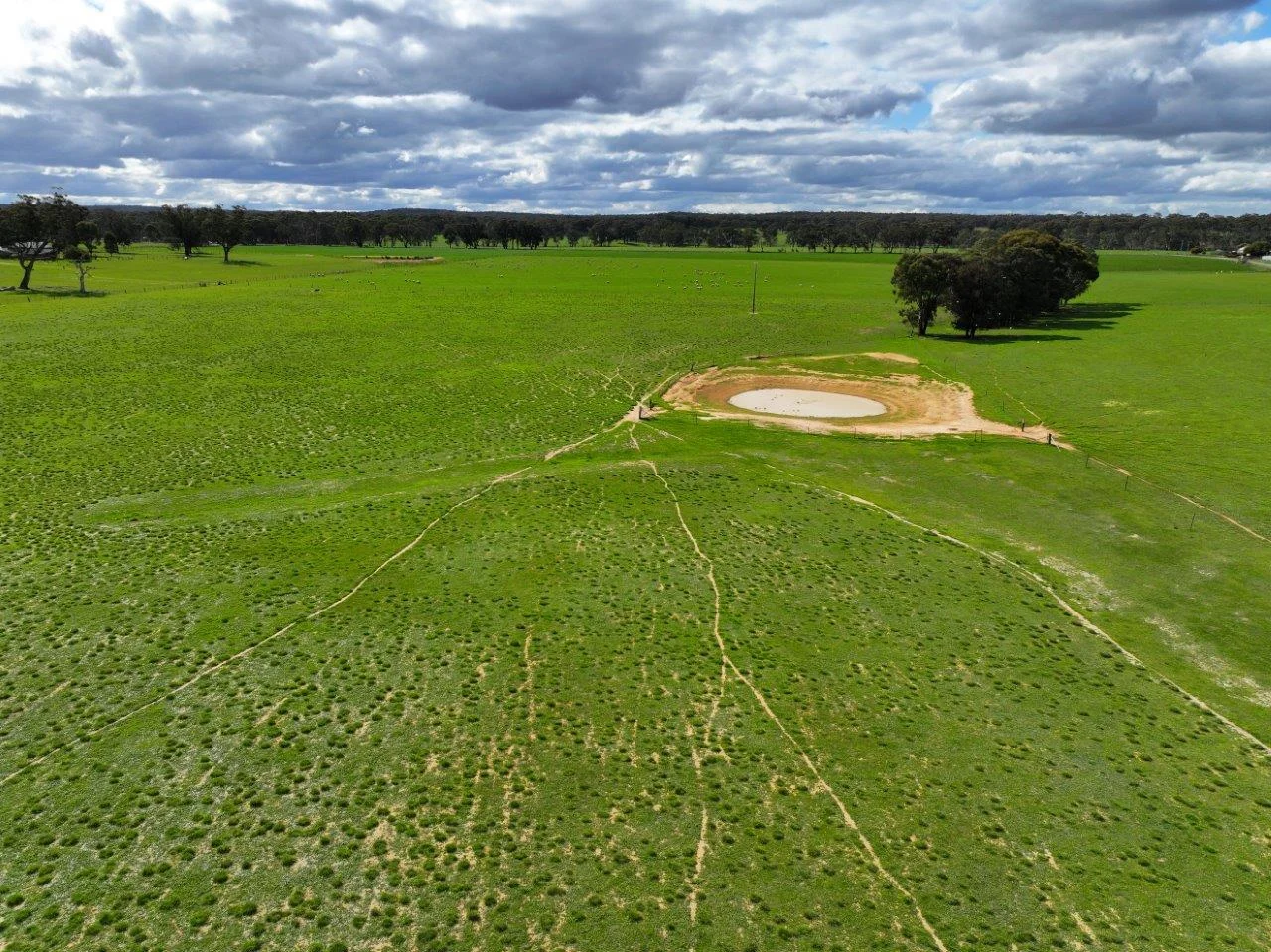 Additional image 16 of 457 Scenic Road, Eddington VIC 3472