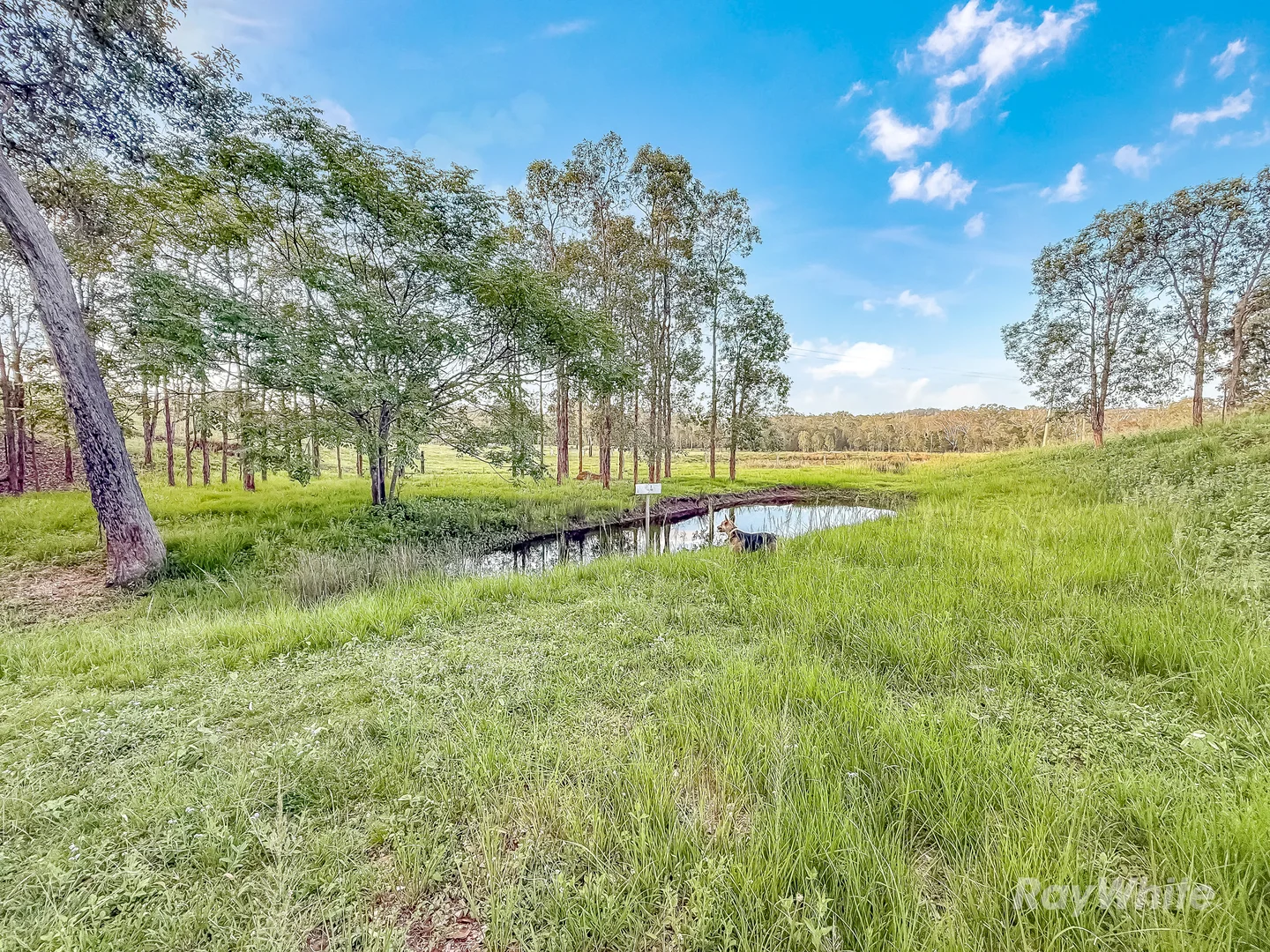 Additional image 31 of 199 Friarbird Drive, Moolboolaman QLD 4671