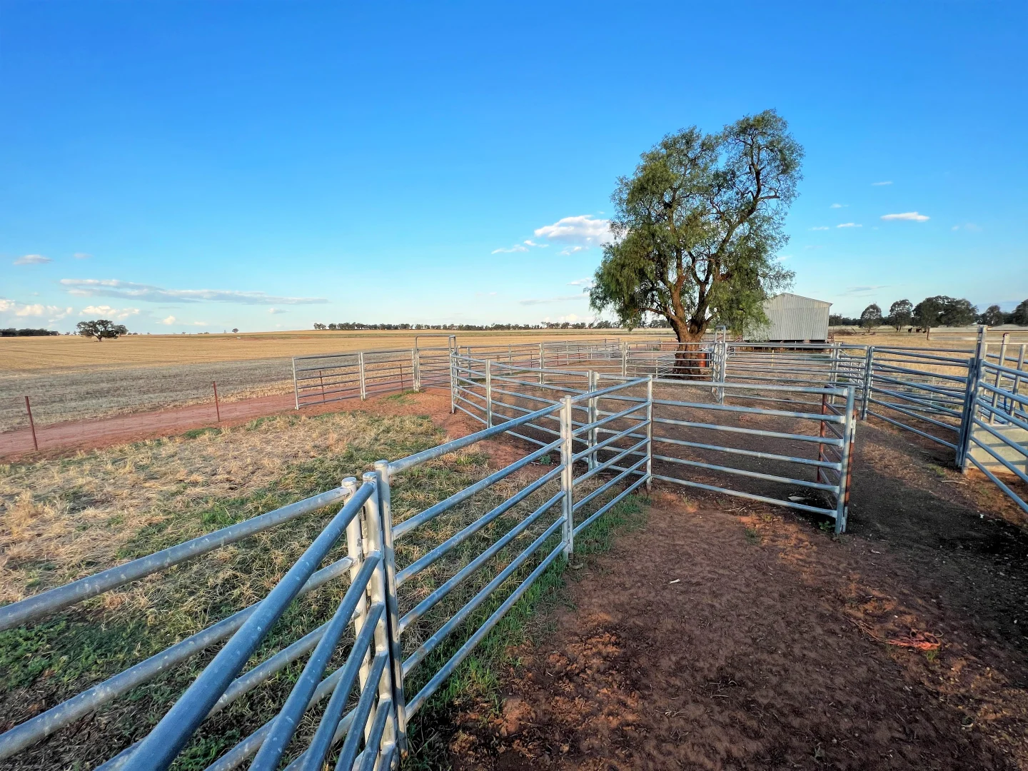 Additional image 8 of 2648 Old Narrandera Road, Currawarna NSW 2650