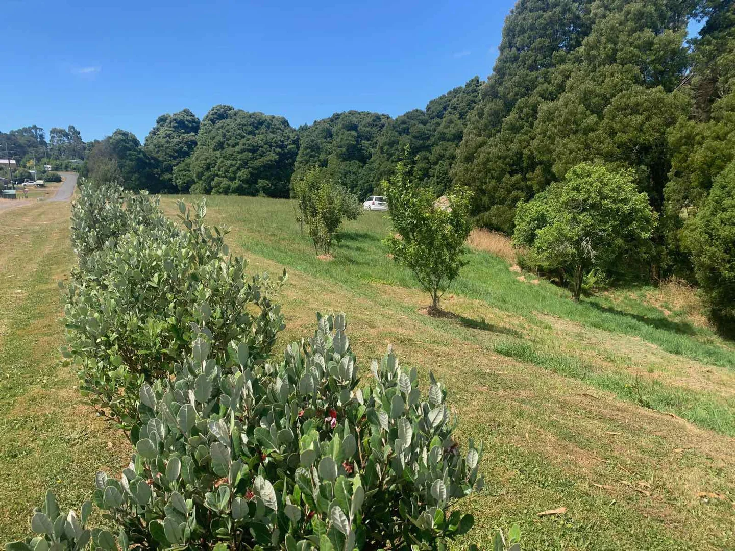 Additional image 9 of 5 Pound Road, Beech Forest VIC 3237