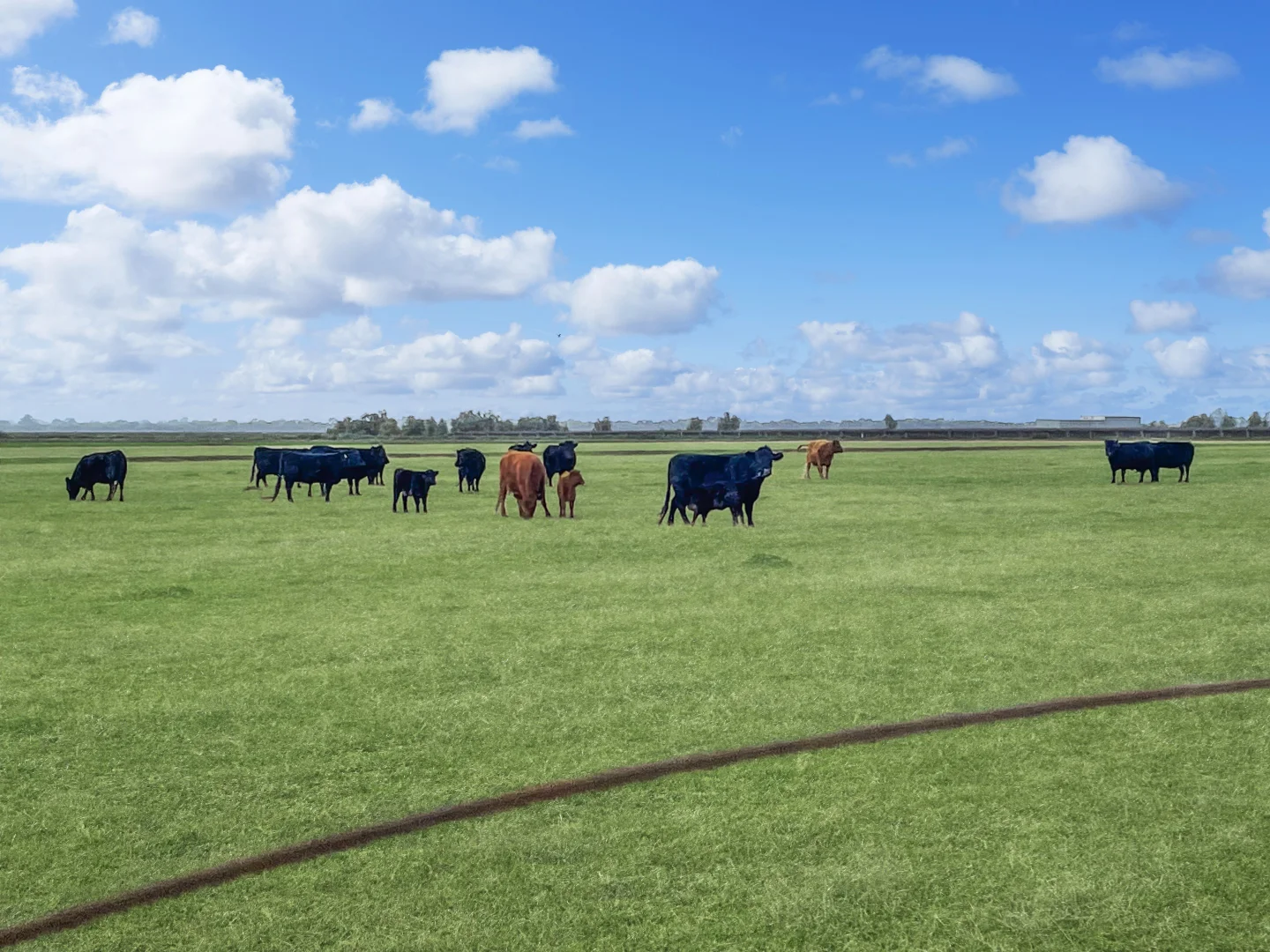 Additional image 14 of 12 Fowler Road, Beelbangera NSW 2680