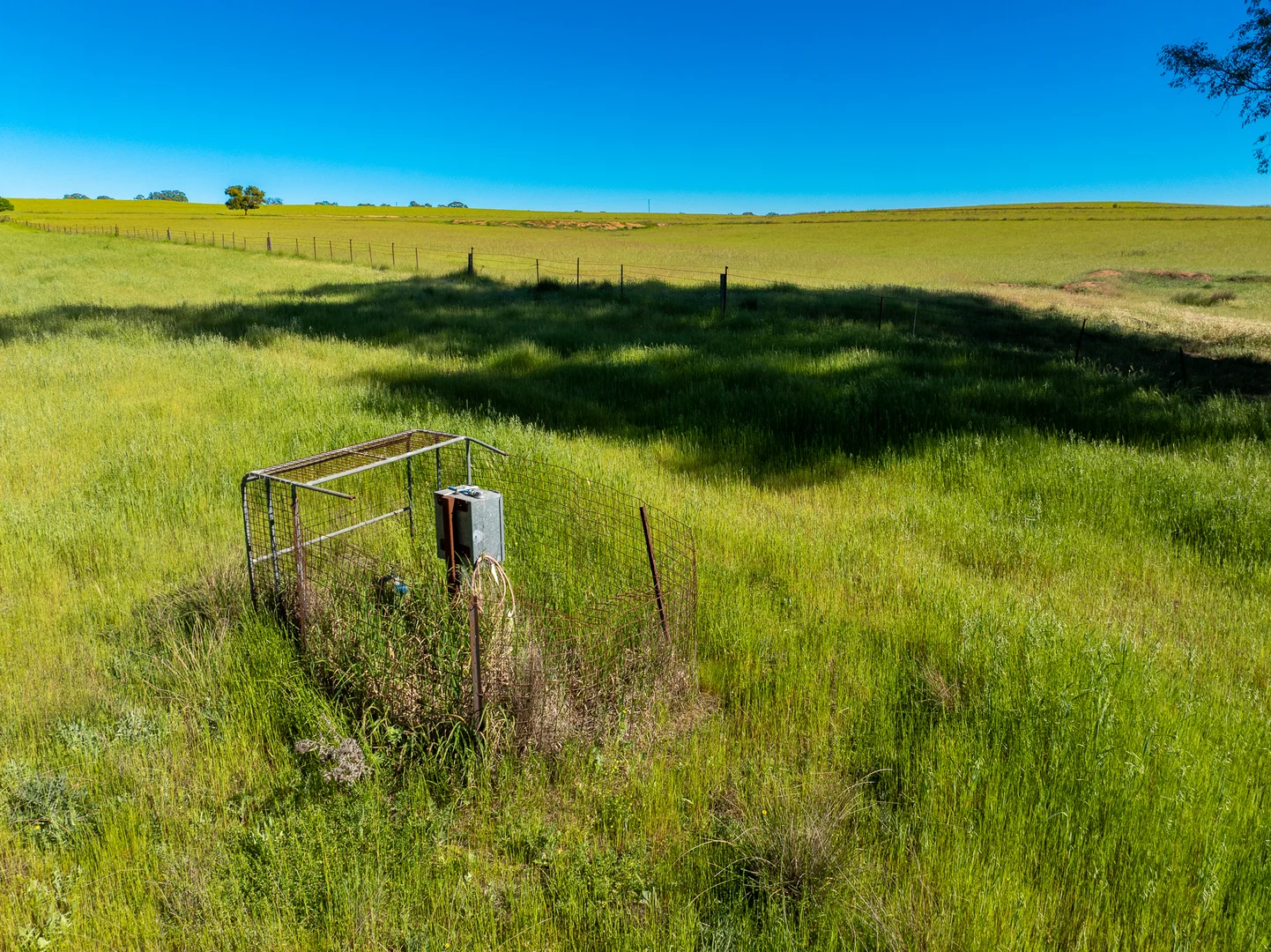Additional image 31 of 338 Baldry Road, Cumnock via, Molong NSW 2866