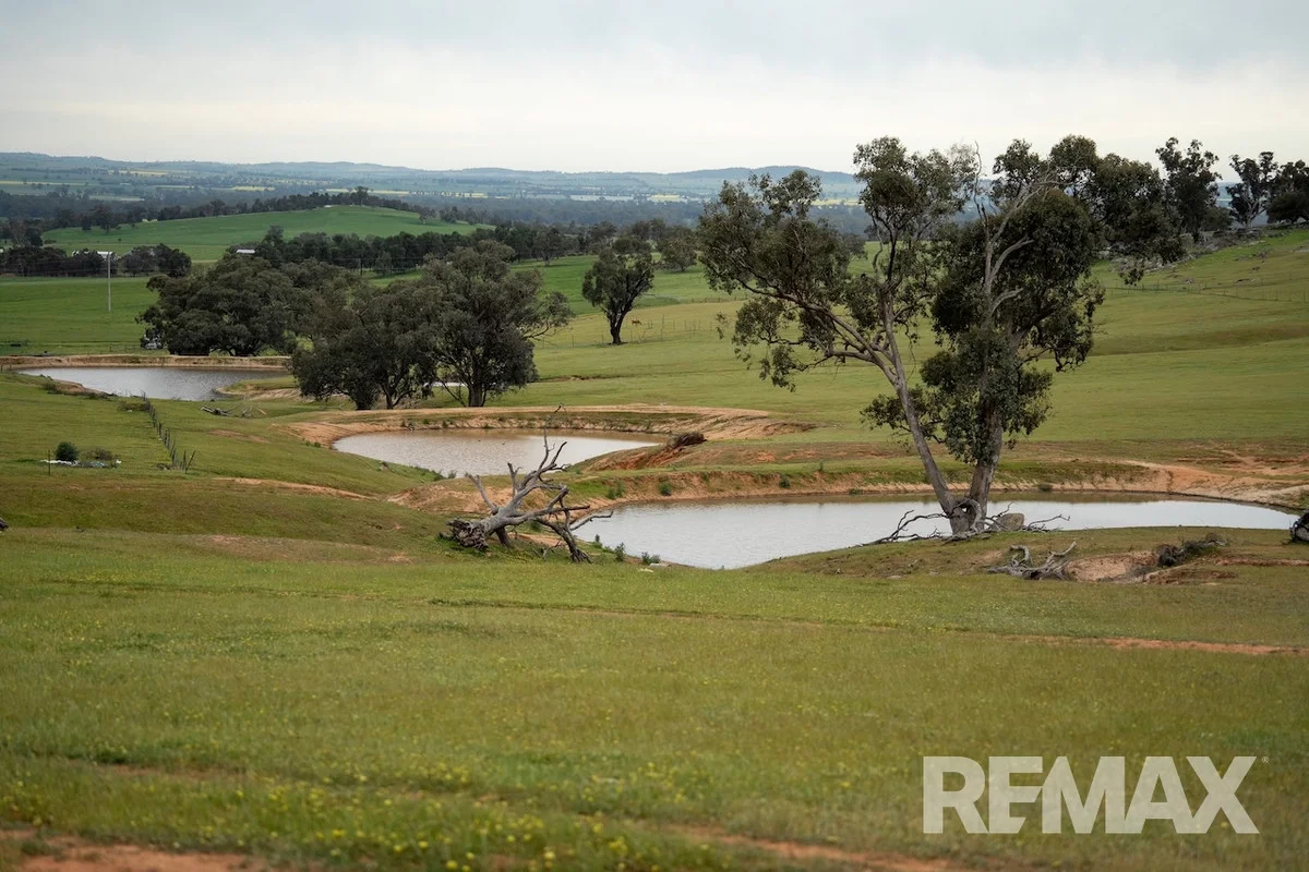 Additional image 3 of 417 Twelve Mile Road, Yarragundry NSW 2650