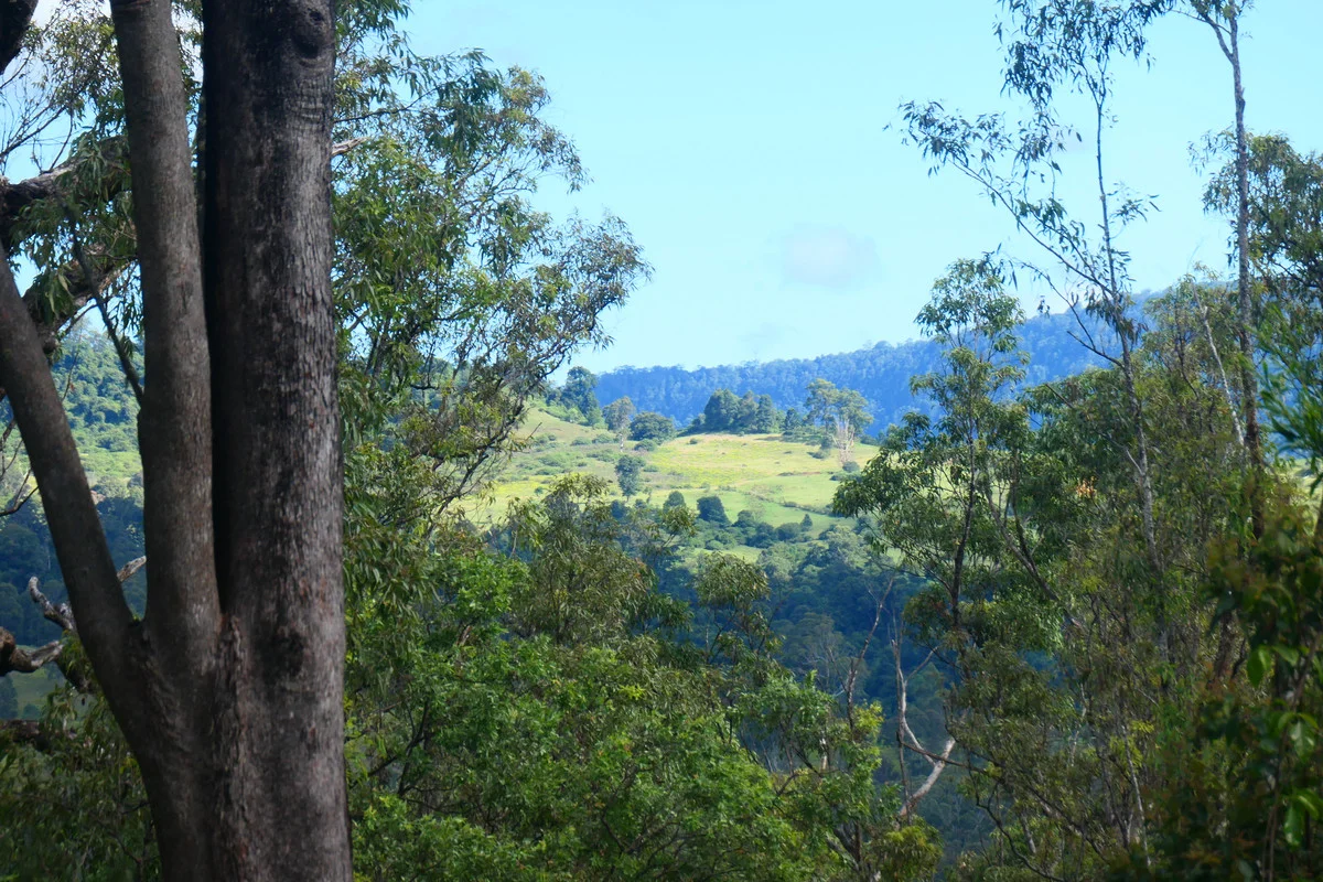 Additional image 3 of 146 Mills Road, Bean Creek NSW 2469