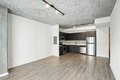 Additional image 3 of 1333 S Wabash Ave Unit 1-1, Chicago, IL, 60605