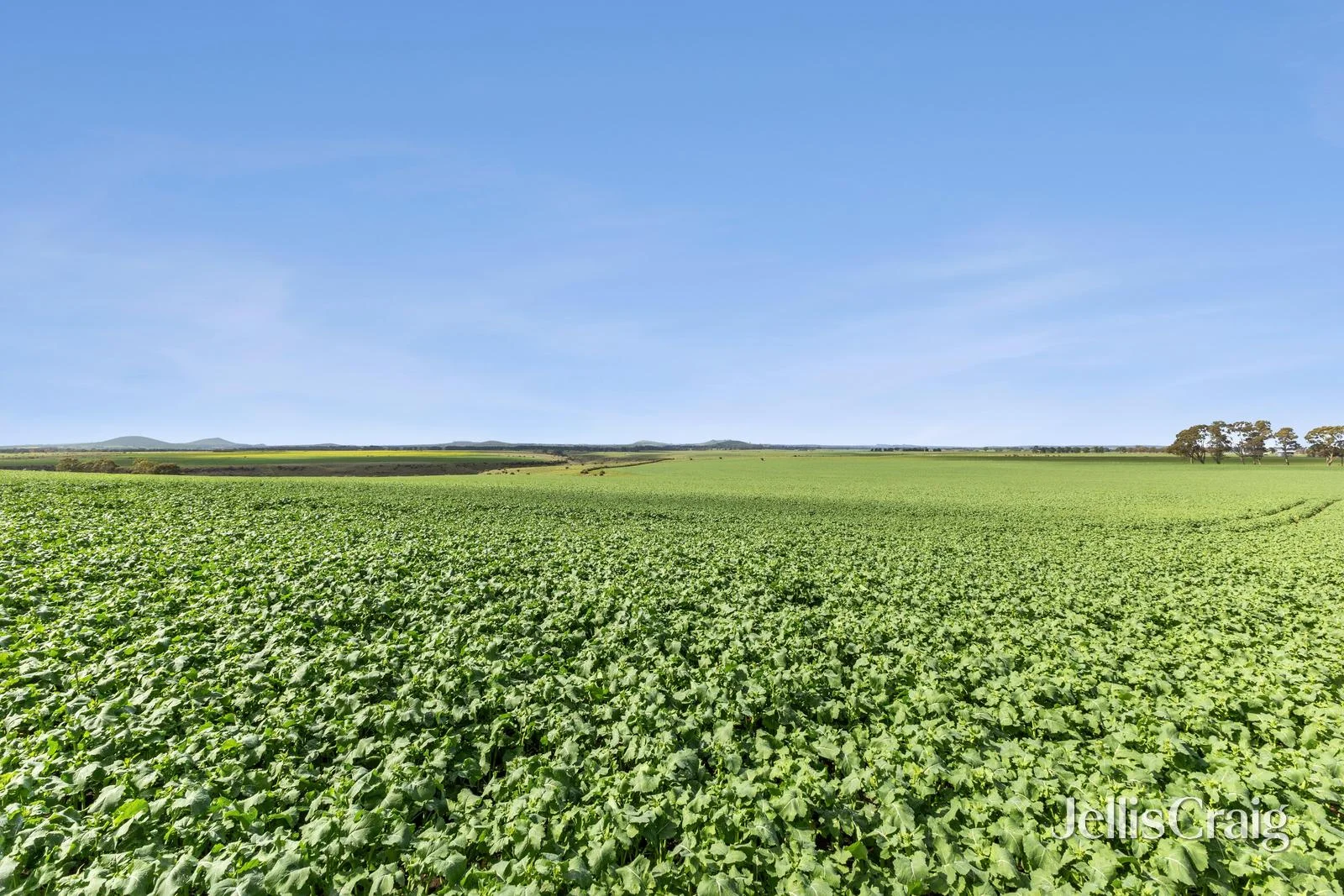 Additional image 11 of Lot 2/2970 Ballarat Maryborough Road, Clunes VIC 3370