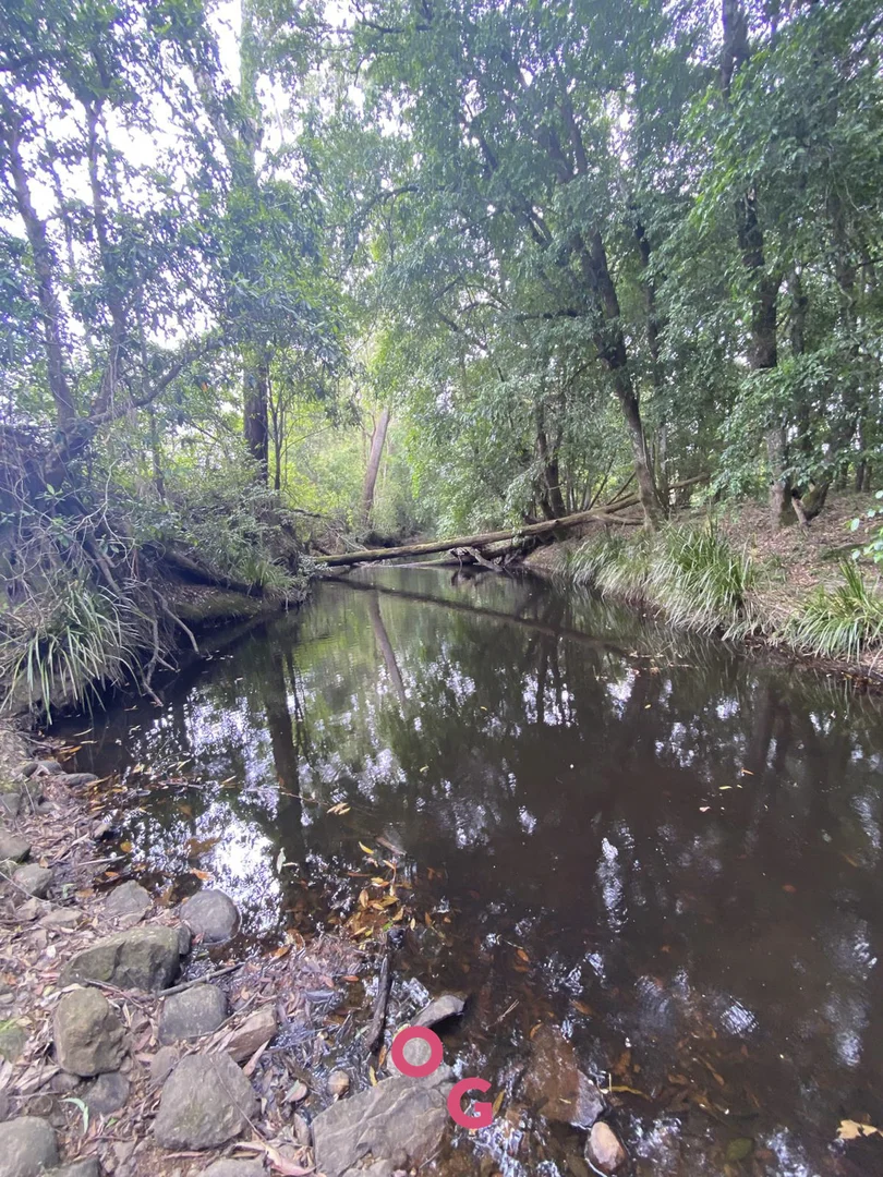 Additional image 28 of 136 Limeburners Creek Road, Limeburners Creek NSW 2324