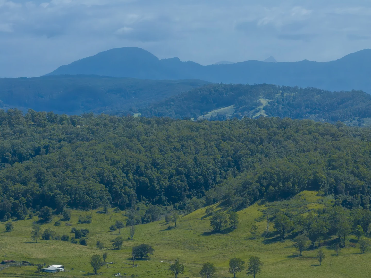 Additional image 27 of 138 Bice Road, Leycester NSW 2480