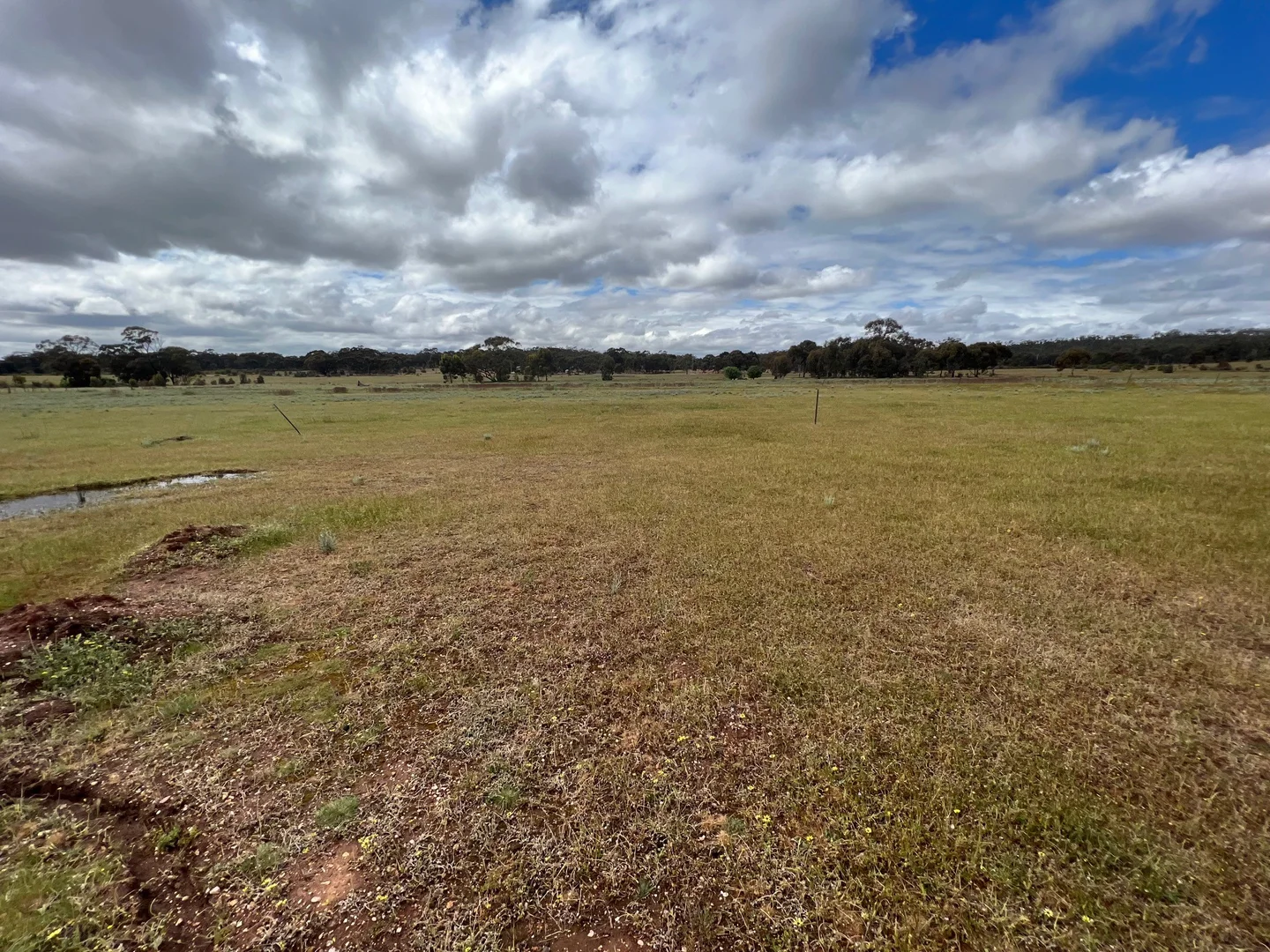 Additional image 16 of 39D Scotts Lane, Wedderburn VIC 3518