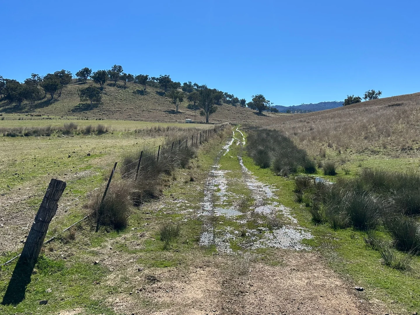 Additional image 35 of 2991 Halls Creek Road, Halls Creek NSW 2346