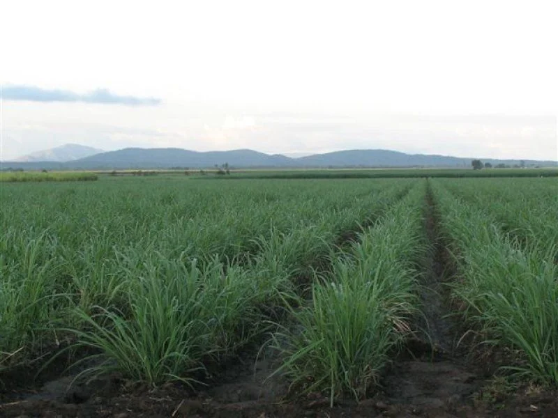 Additional image 6 of Home Hill QLD 4806