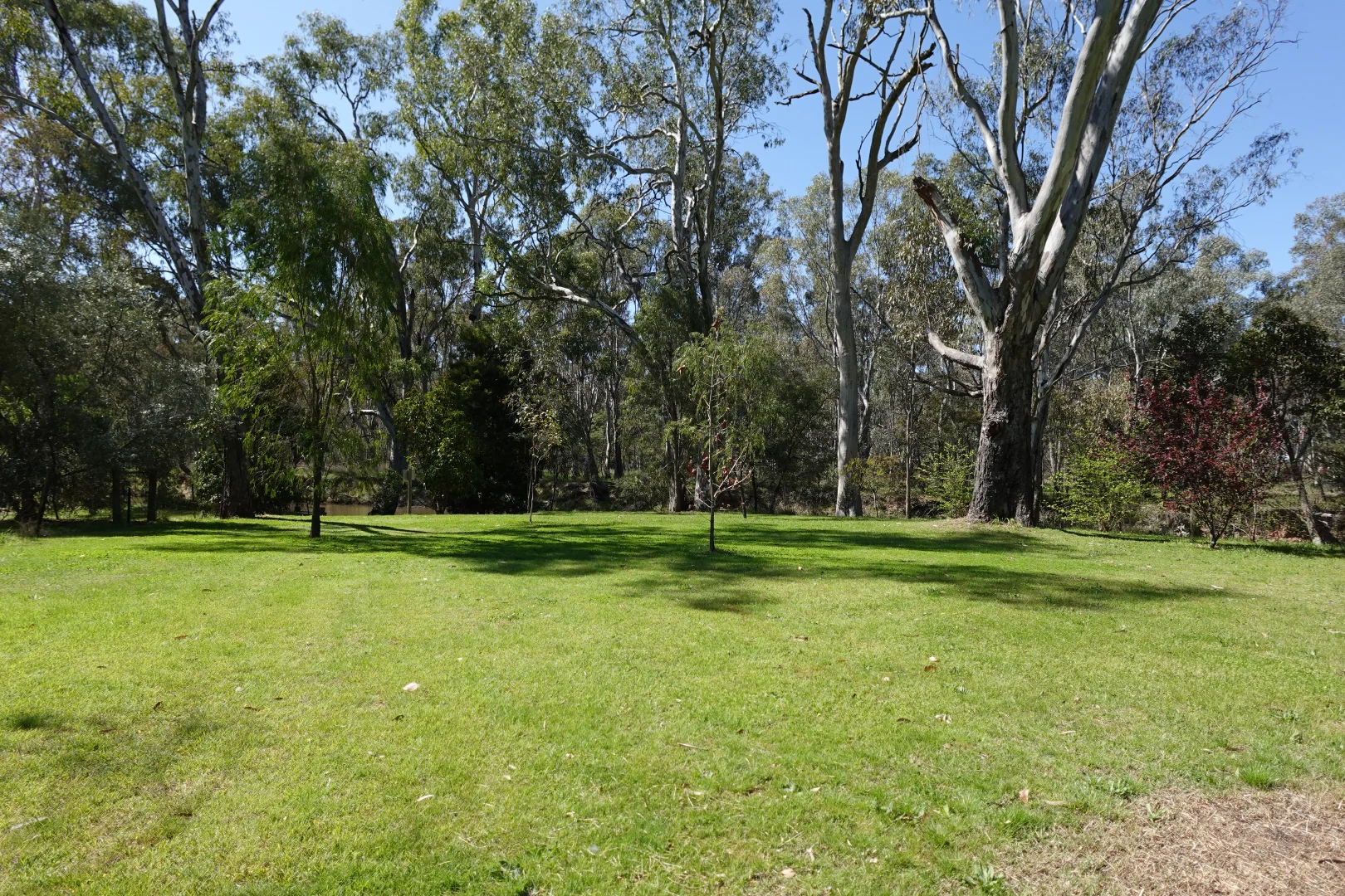 Additional image 23 of 139 Arundel Street, Benalla VIC 3672