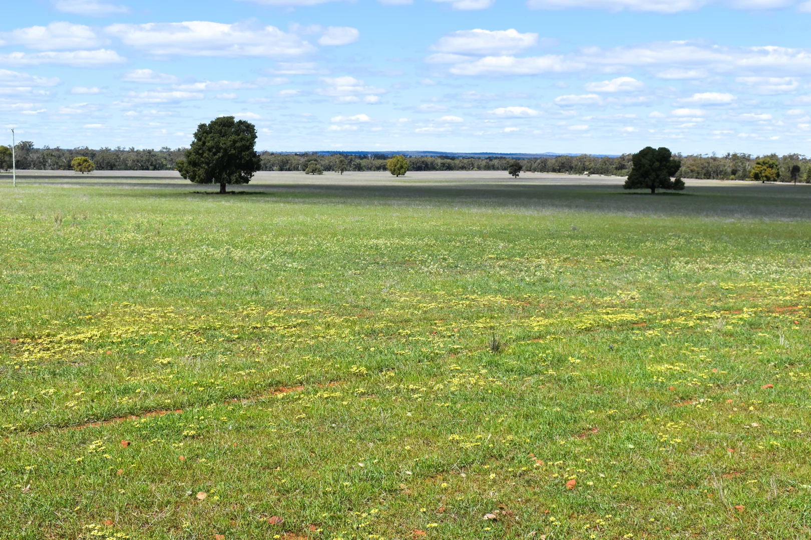 Additional image 5 of 120 Melrose Plains Road, Fifield NSW 2875