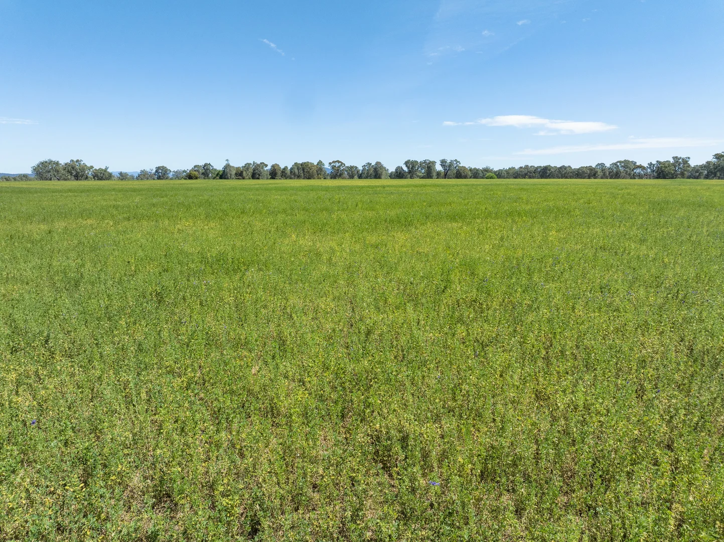 Additional image 14 of 827 Benalla-Tatong Rd, Benalla VIC 3672