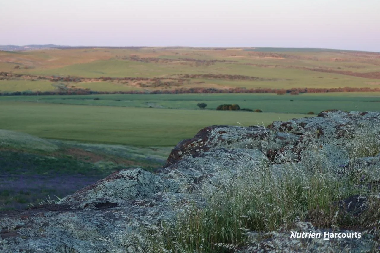 Additional image 8 of Lot 4 Larard Road, Sandy Gully WA 6535