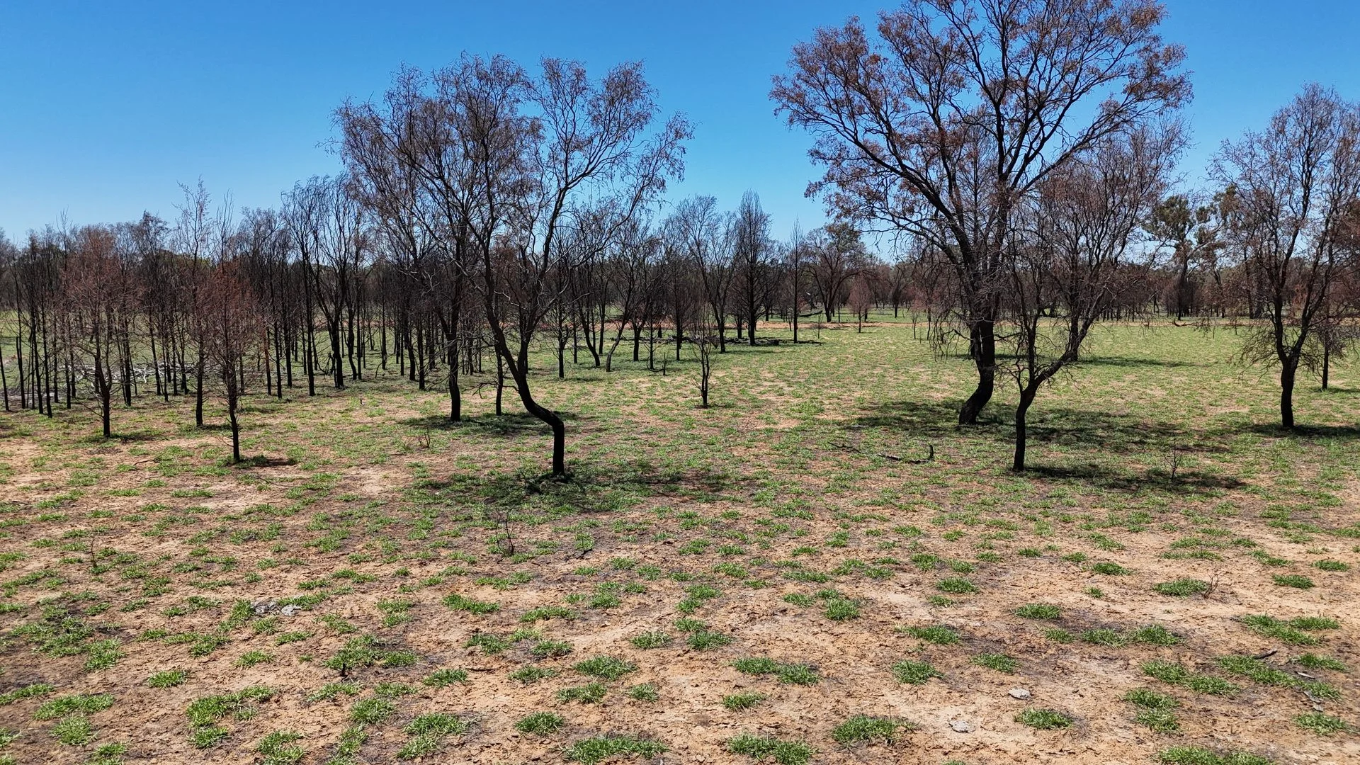 Additional image 16 of 202-410 Wallal Street, Bakers Bend QLD 4470