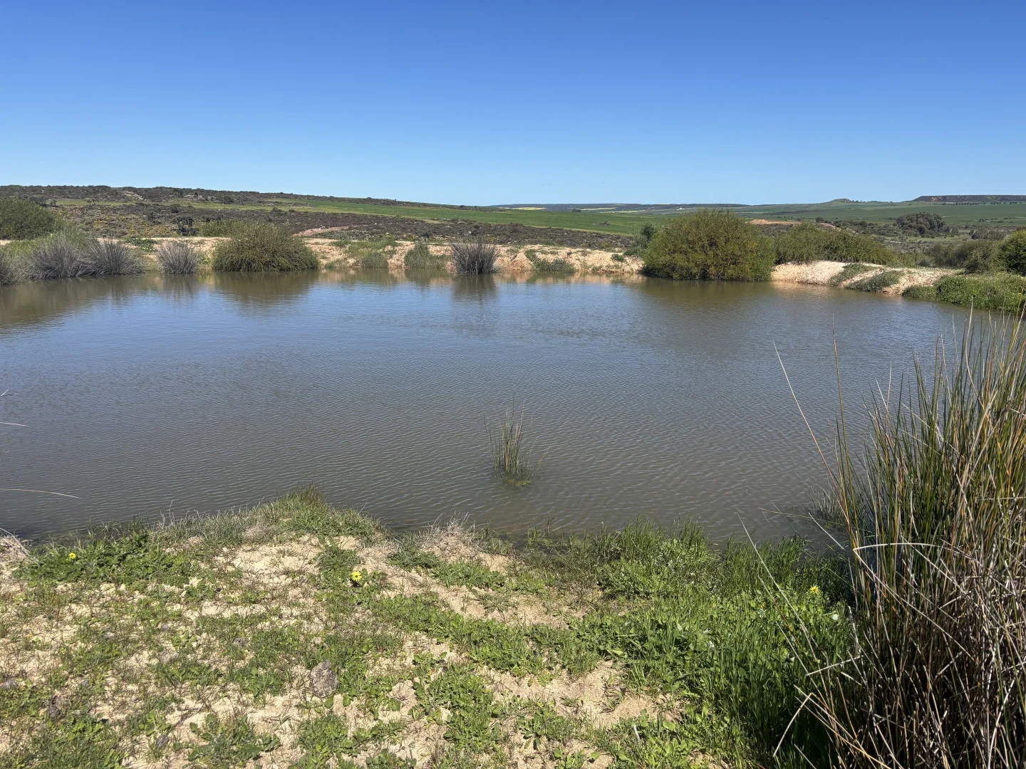 Additional image 4 of Lot 55 Ahern Place, Hickety WA 6532